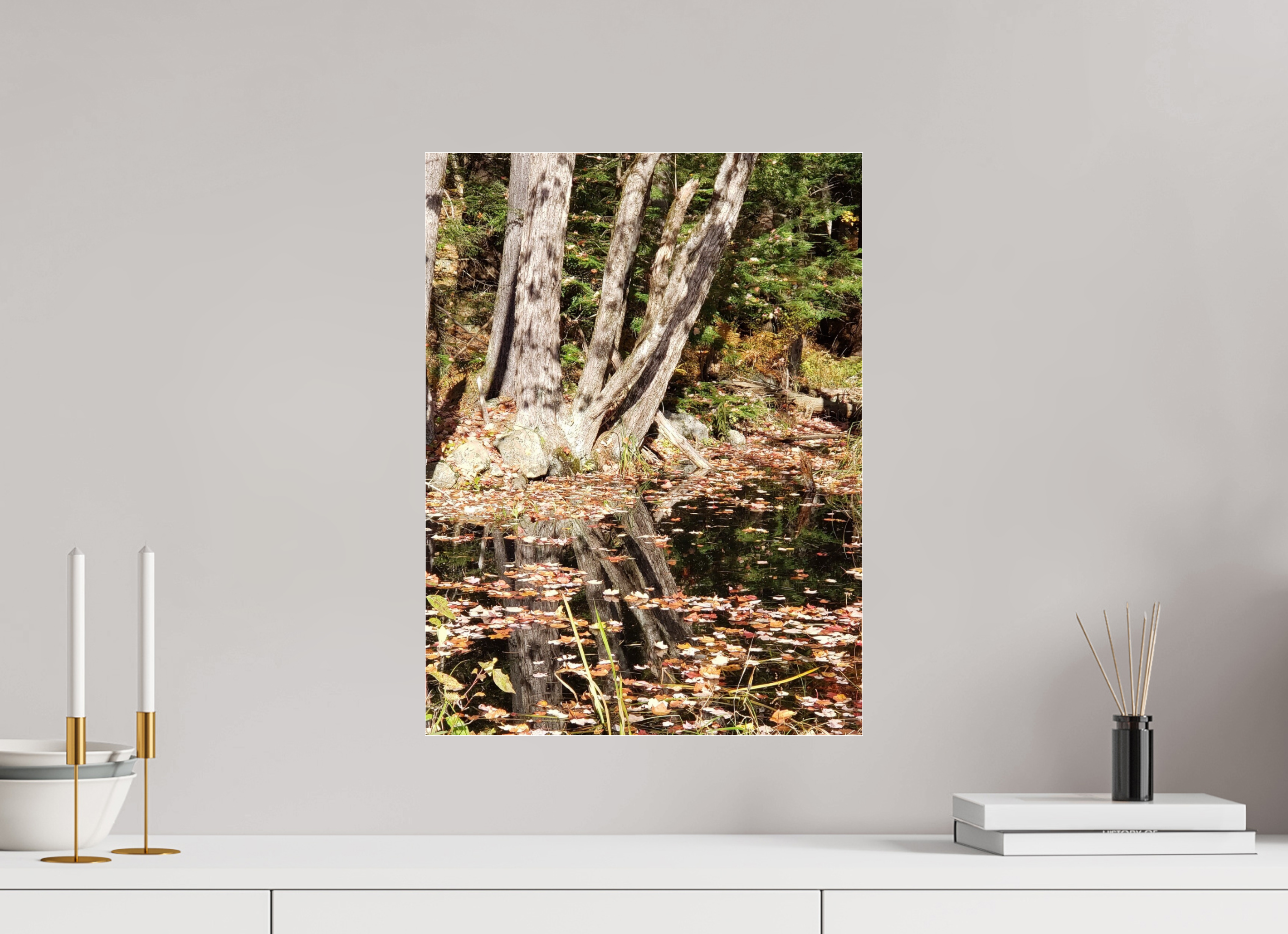 15 x 20″, Photo Print Under Acrylic Glass Falling Into Reflections