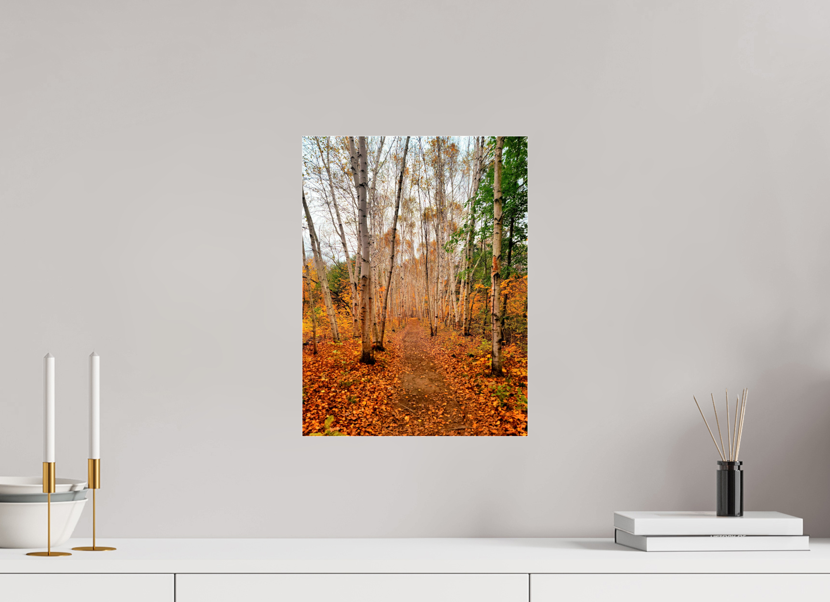 12 x 16″, Photo Print Under Acrylic Glass The Path Through Turning Leaves