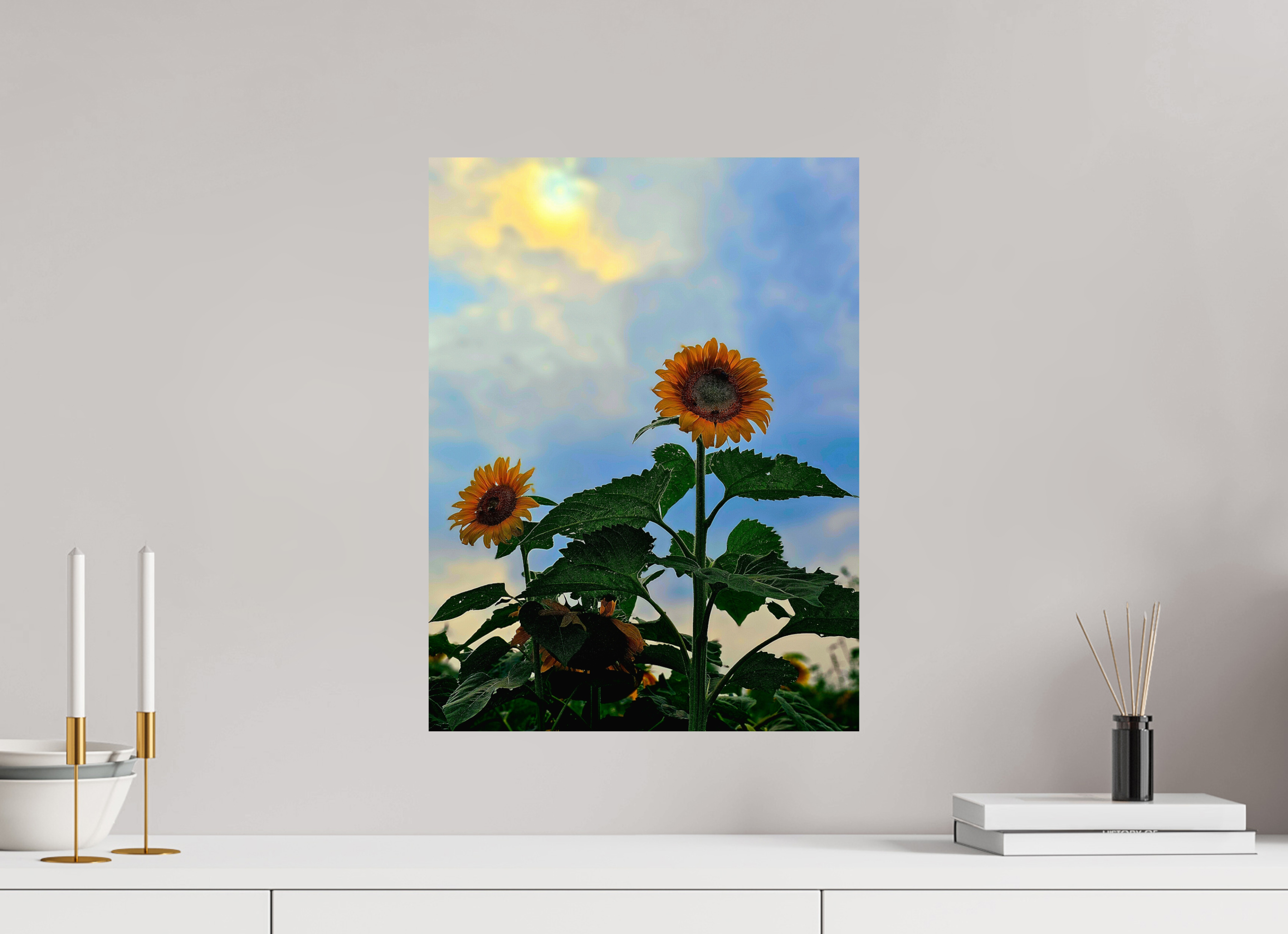 15 x 20″, Photo Print On Fuji Crystal DP II Sunflowers In Spring