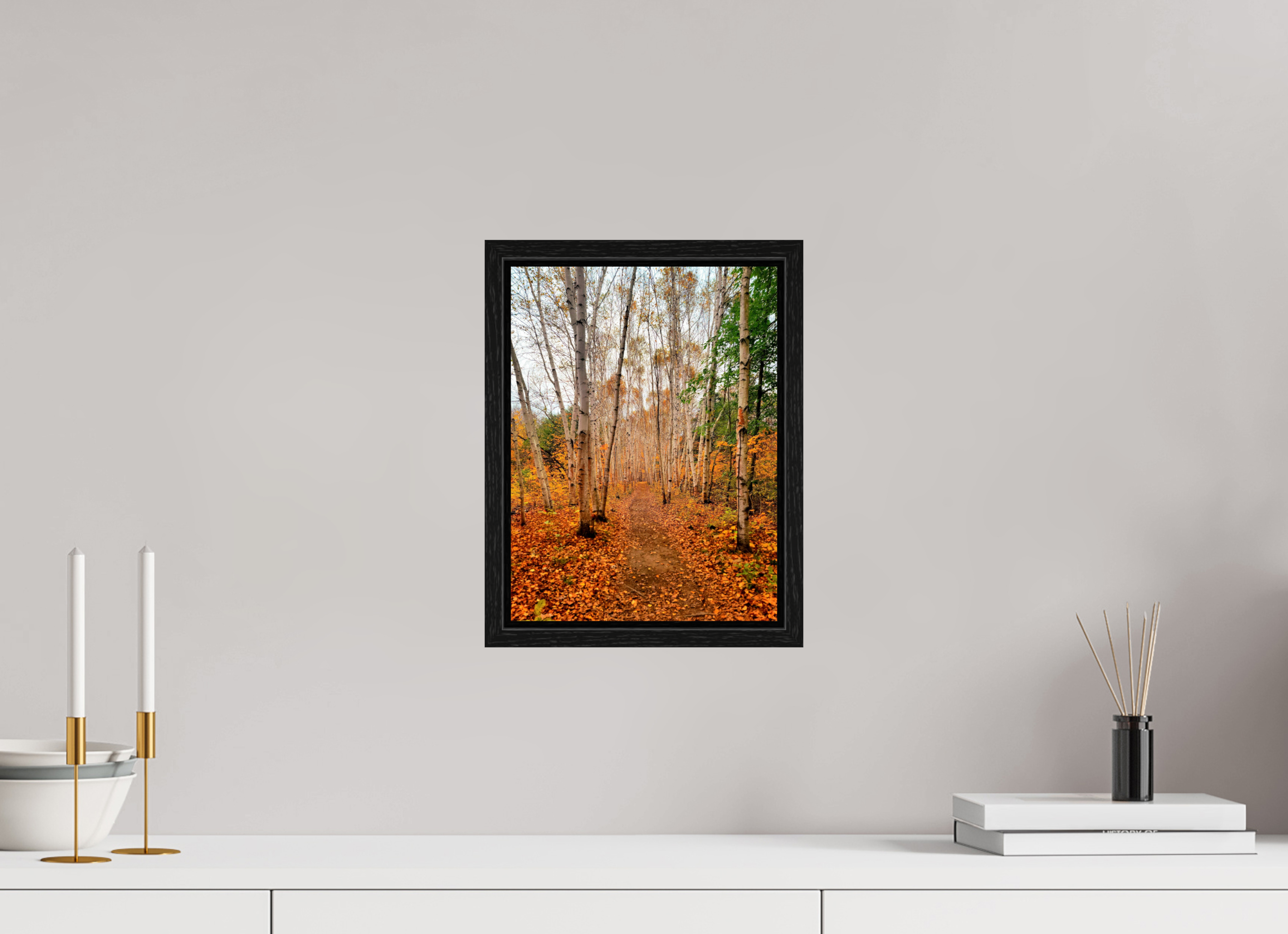 9 x 12″, Floater Frame The Path Through Turning Leaves