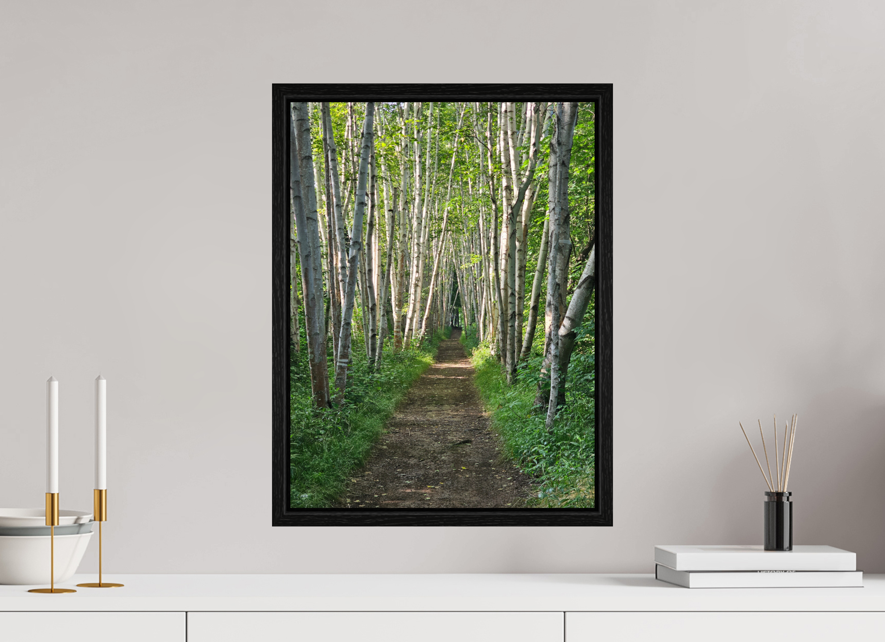 15 x 20″, Floater Frame The Summer On The Birch Trail