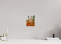6 x 8″, Photo Print On Fuji Crystal DP II The Path Through Turning Leaves