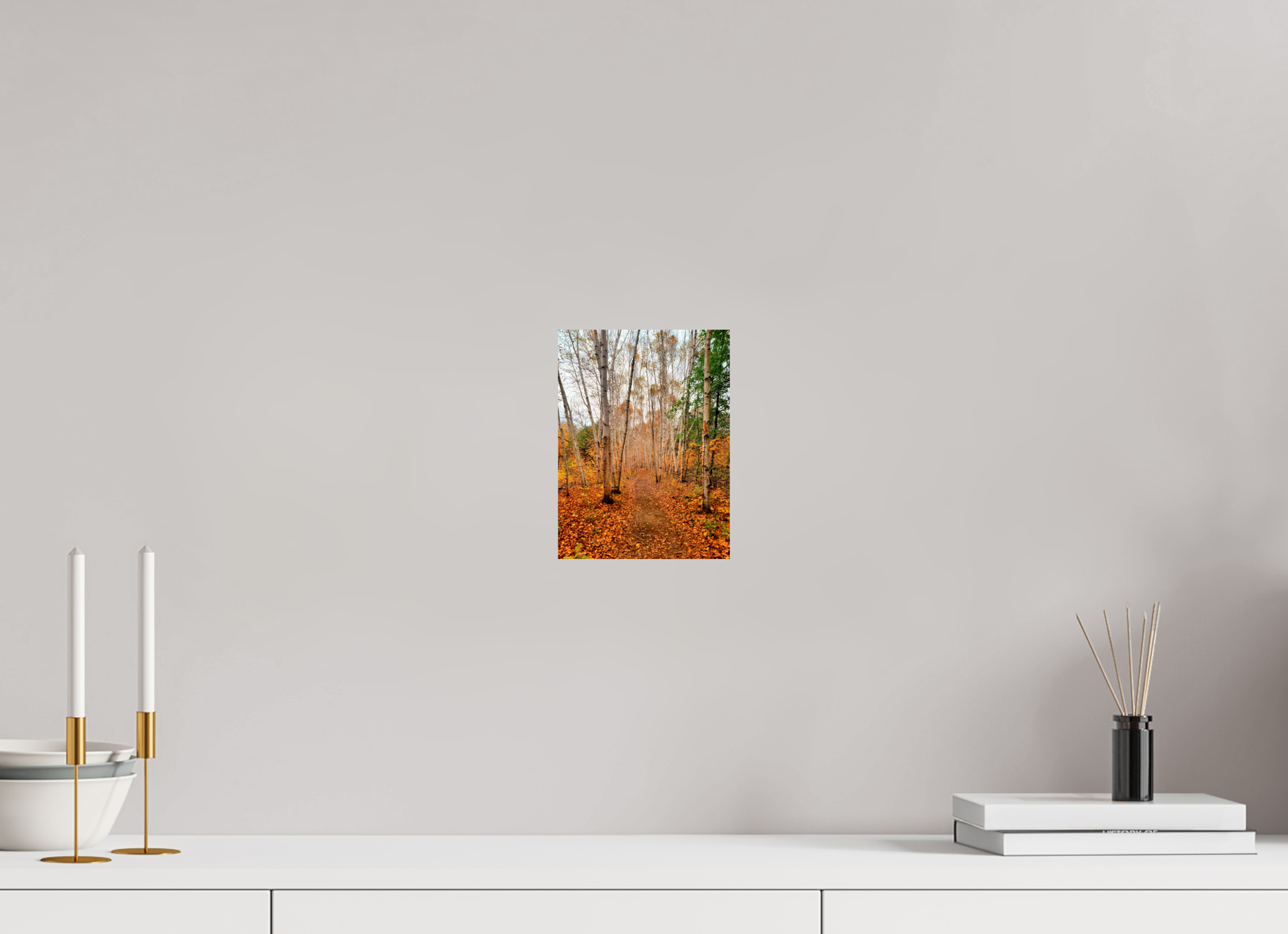 6 x 8″, Photo Print On Fuji Crystal DP II The Path Through Turning Leaves