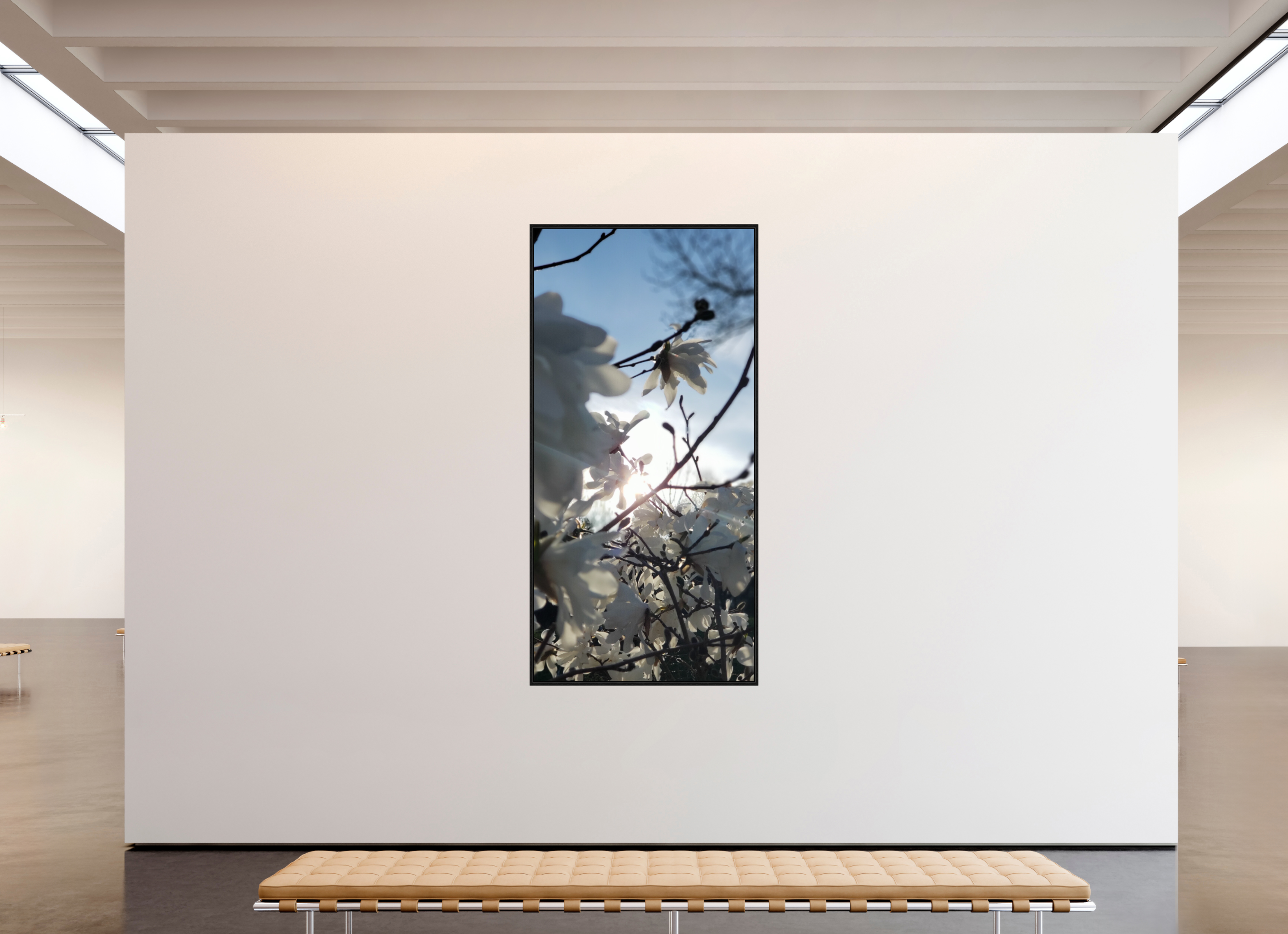 43 x 88.5″, Floater Frame Where The Sun Finds The Petals