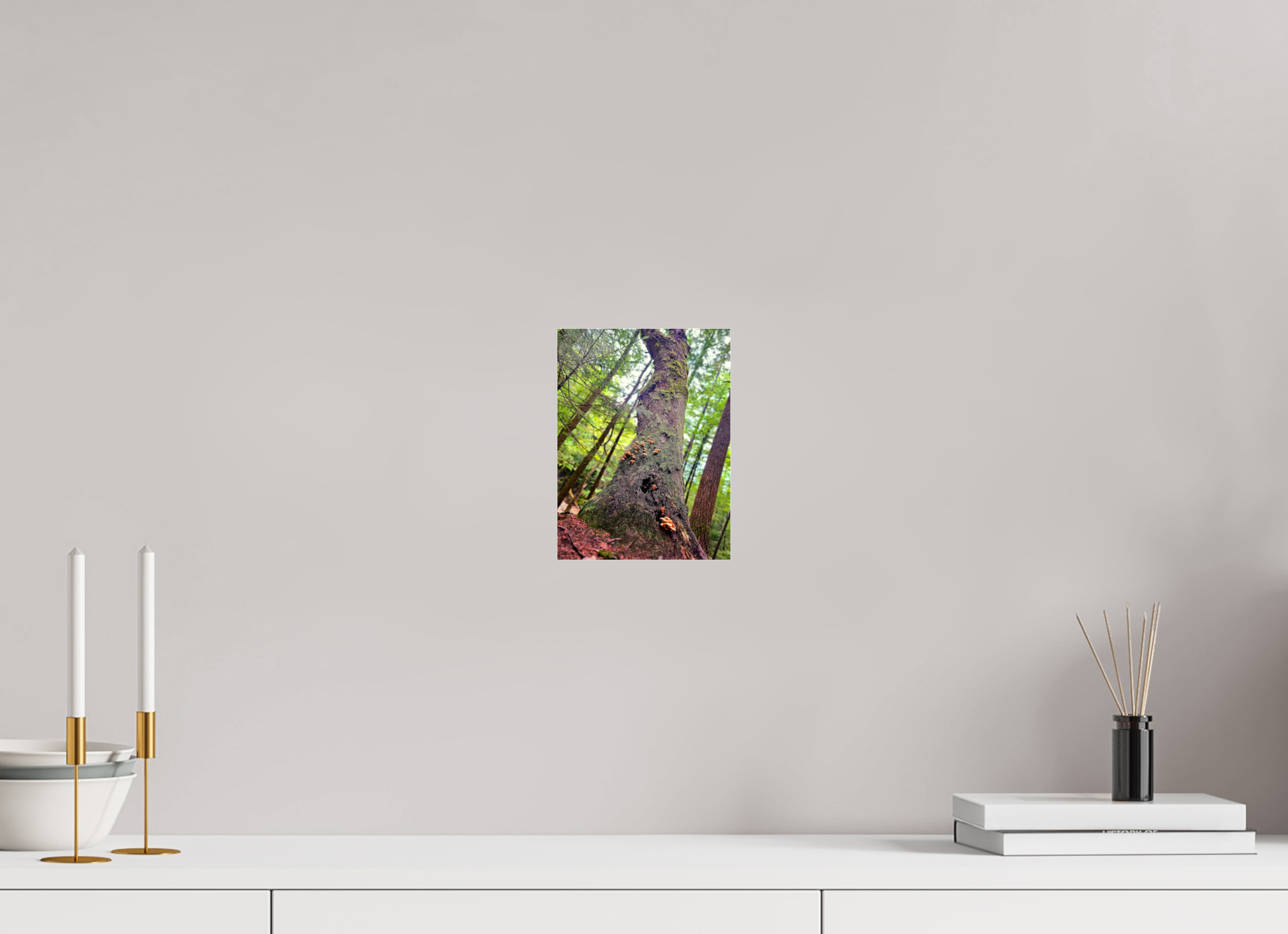 6 x 8″, Photo Print Under Acrylic Glass Don't Eat The Forest Snacks
