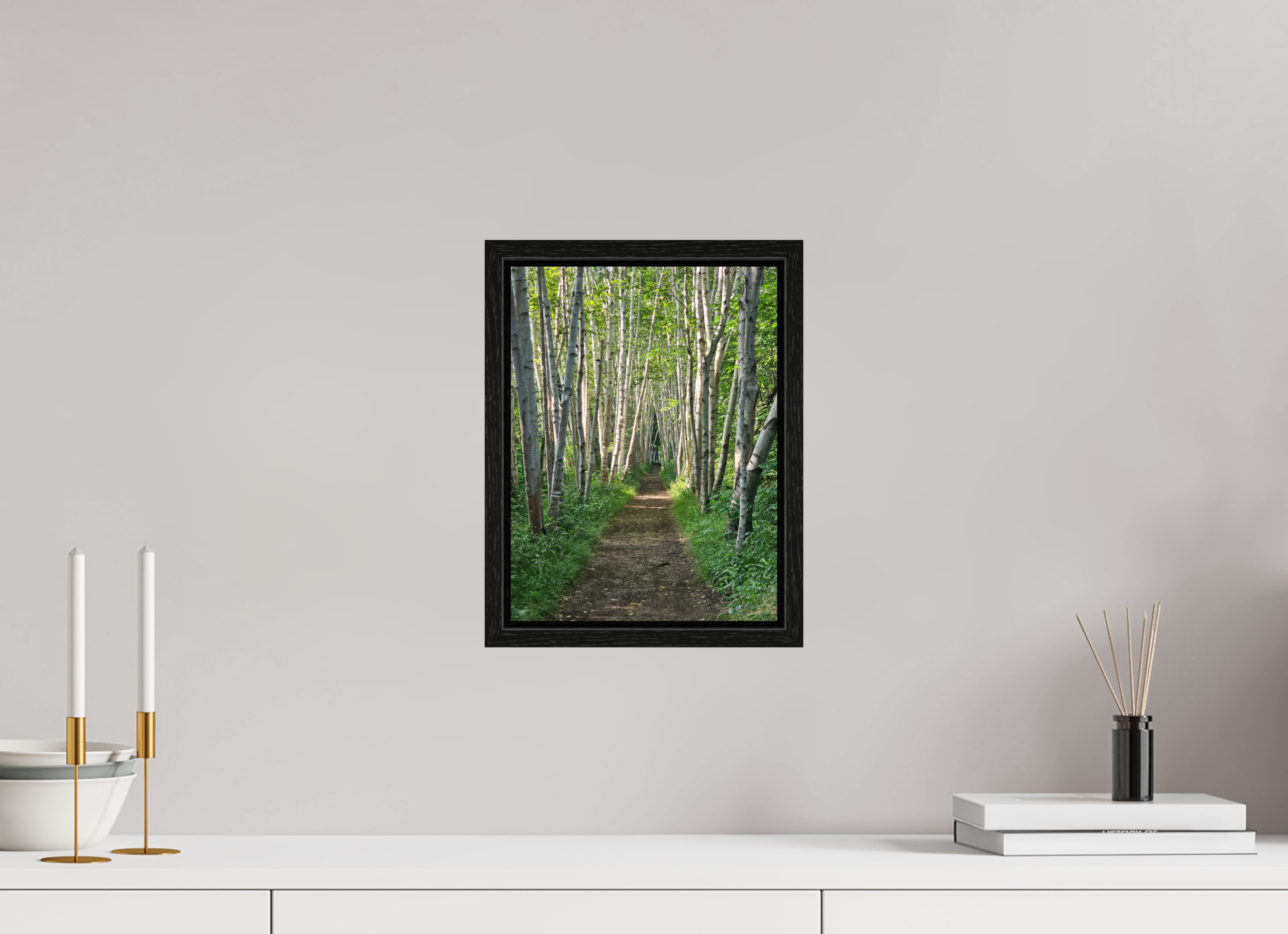 9 x 12″, Floater Frame The Summer On The Birch Trail