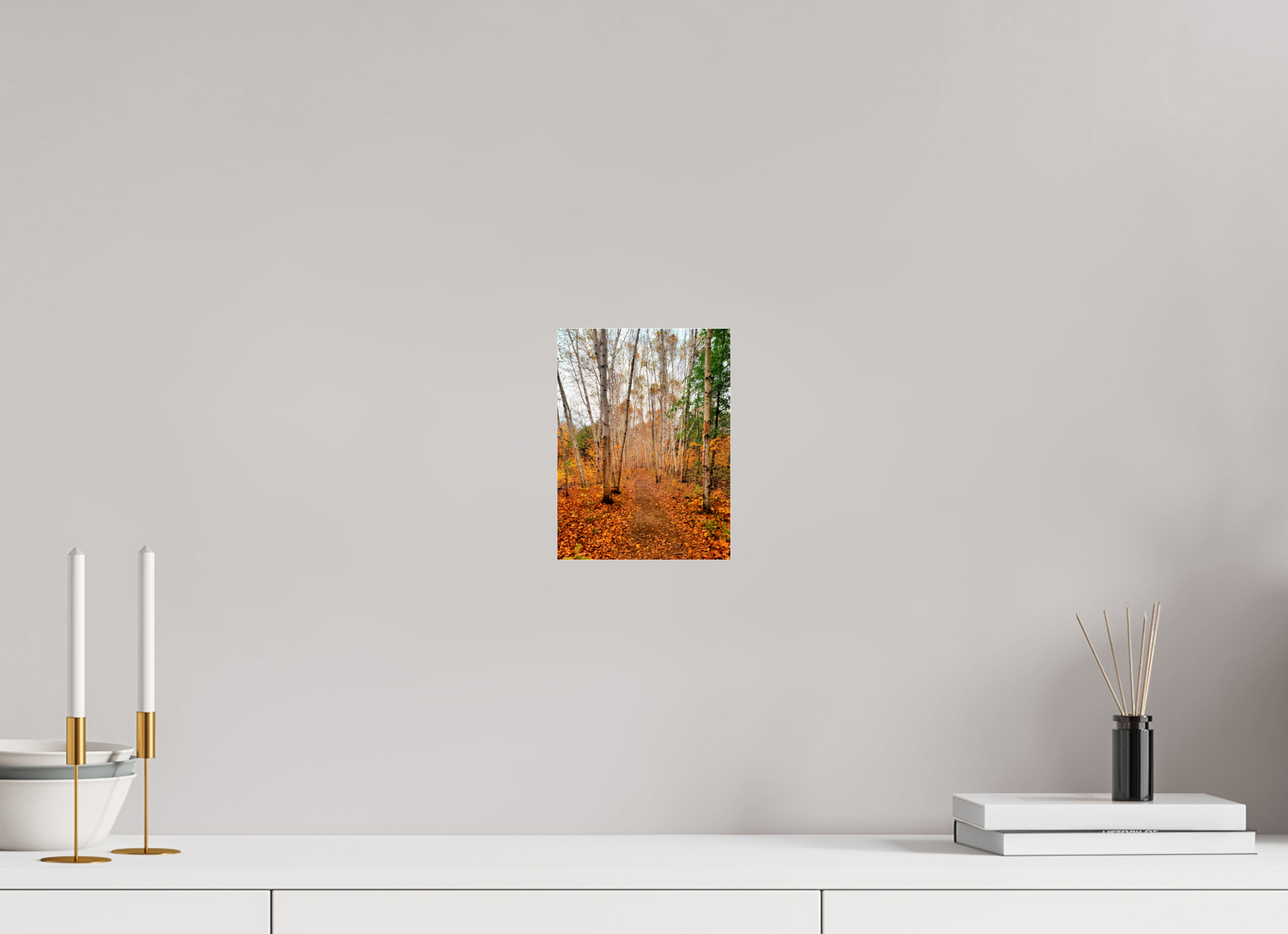 6 x 8″, Photo Print Under Acrylic Glass The Path Through Turning Leaves