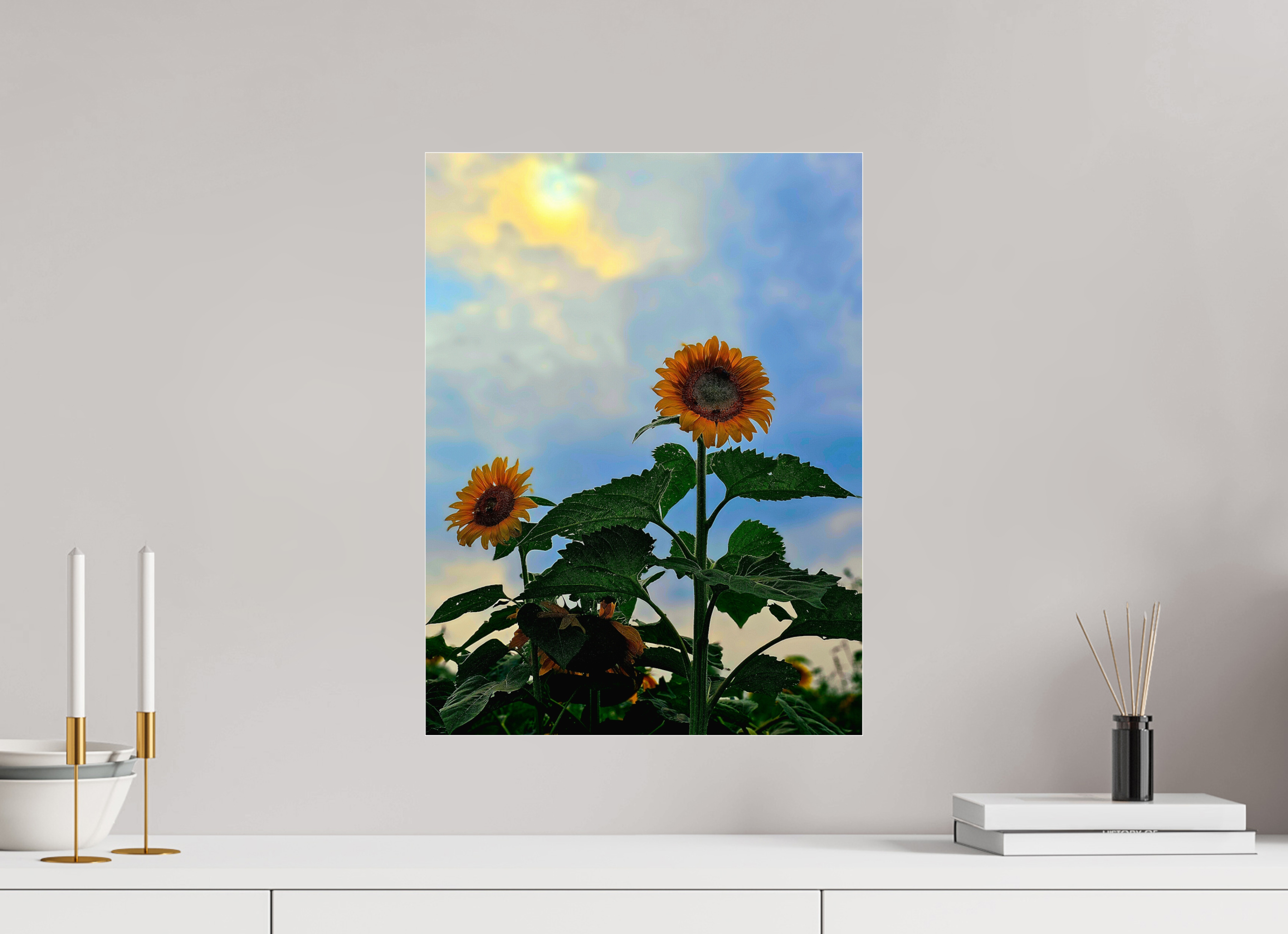 15 x 20″, Photo Print Under Acrylic Glass Sunflowers In Spring