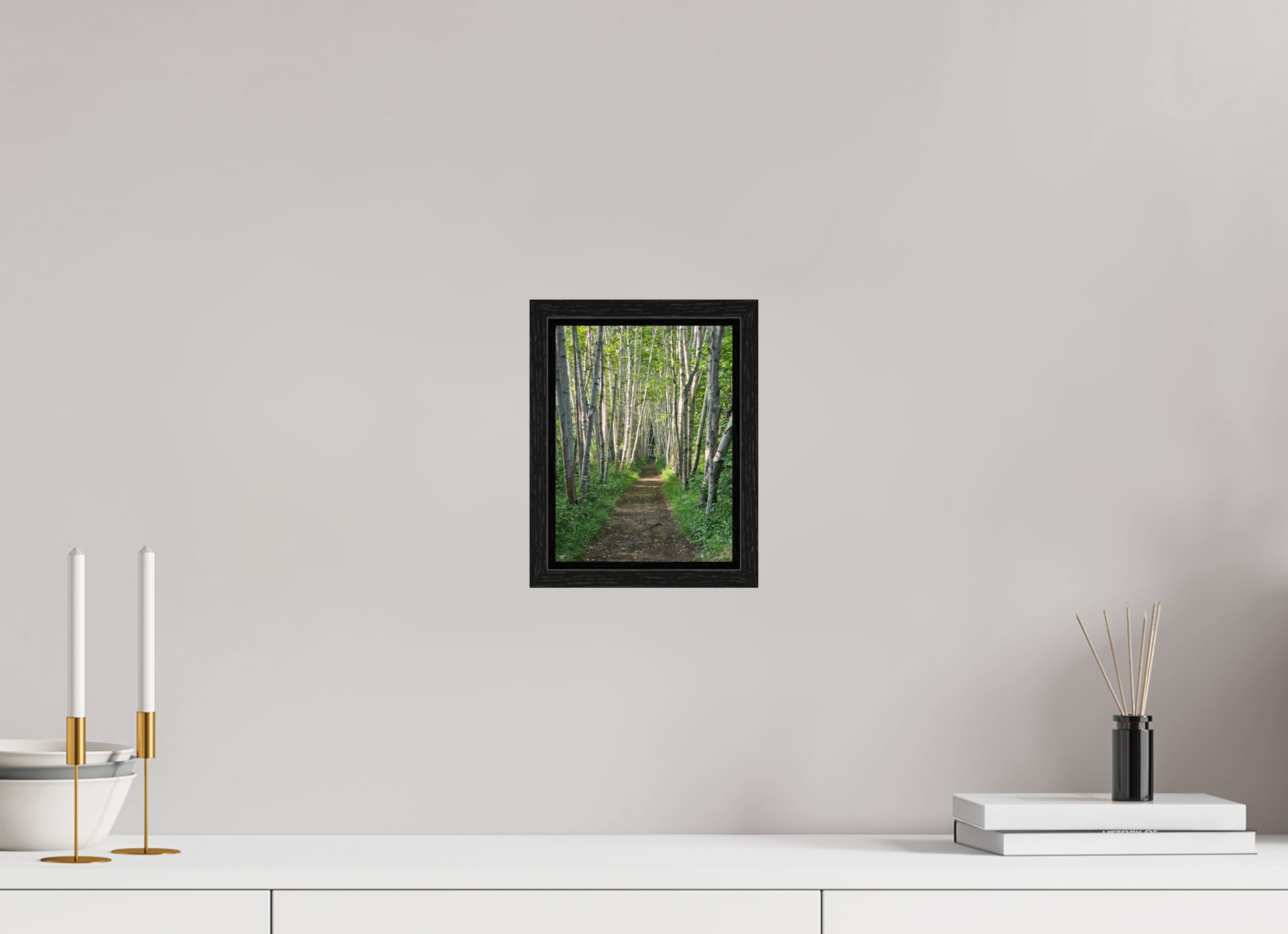 6 x 8″, Floater Frame The Summer On The Birch Trail