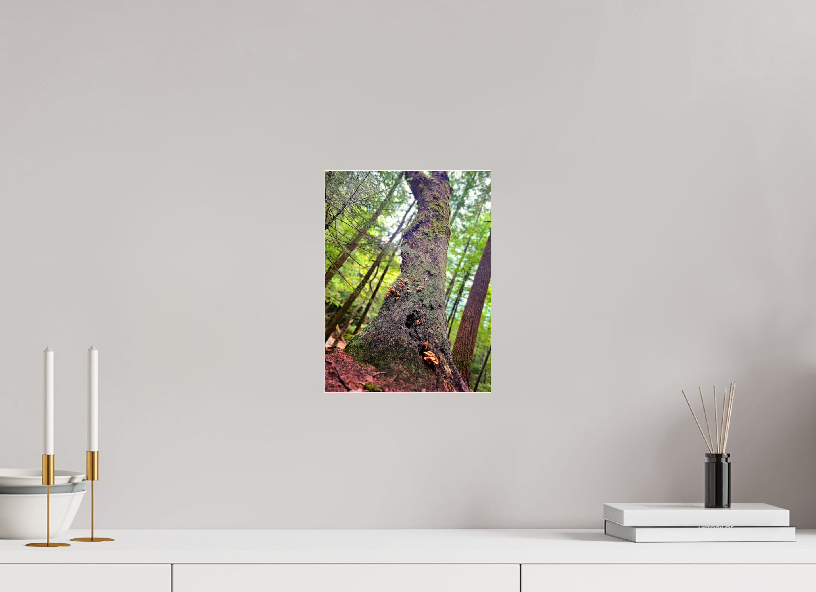 9 x 12″, Photo Print Under Acrylic Glass Don't Eat The Forest Snacks