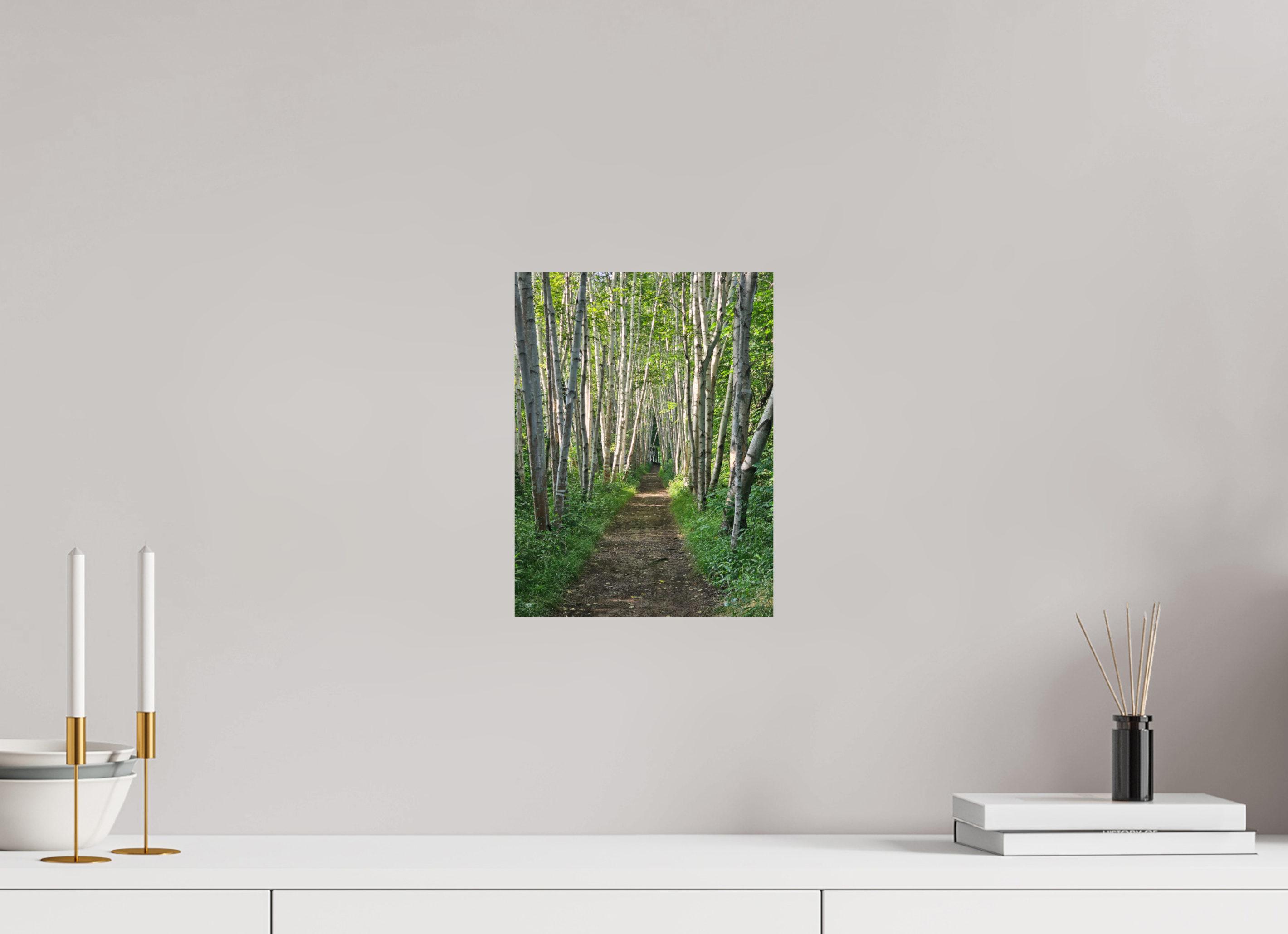 9 x 12″, Photo Print On Fuji Crystal DP II The Summer On The Birch Trail