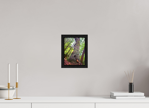 6 x 8″, Floater Frame Don't Eat The Forest Snacks