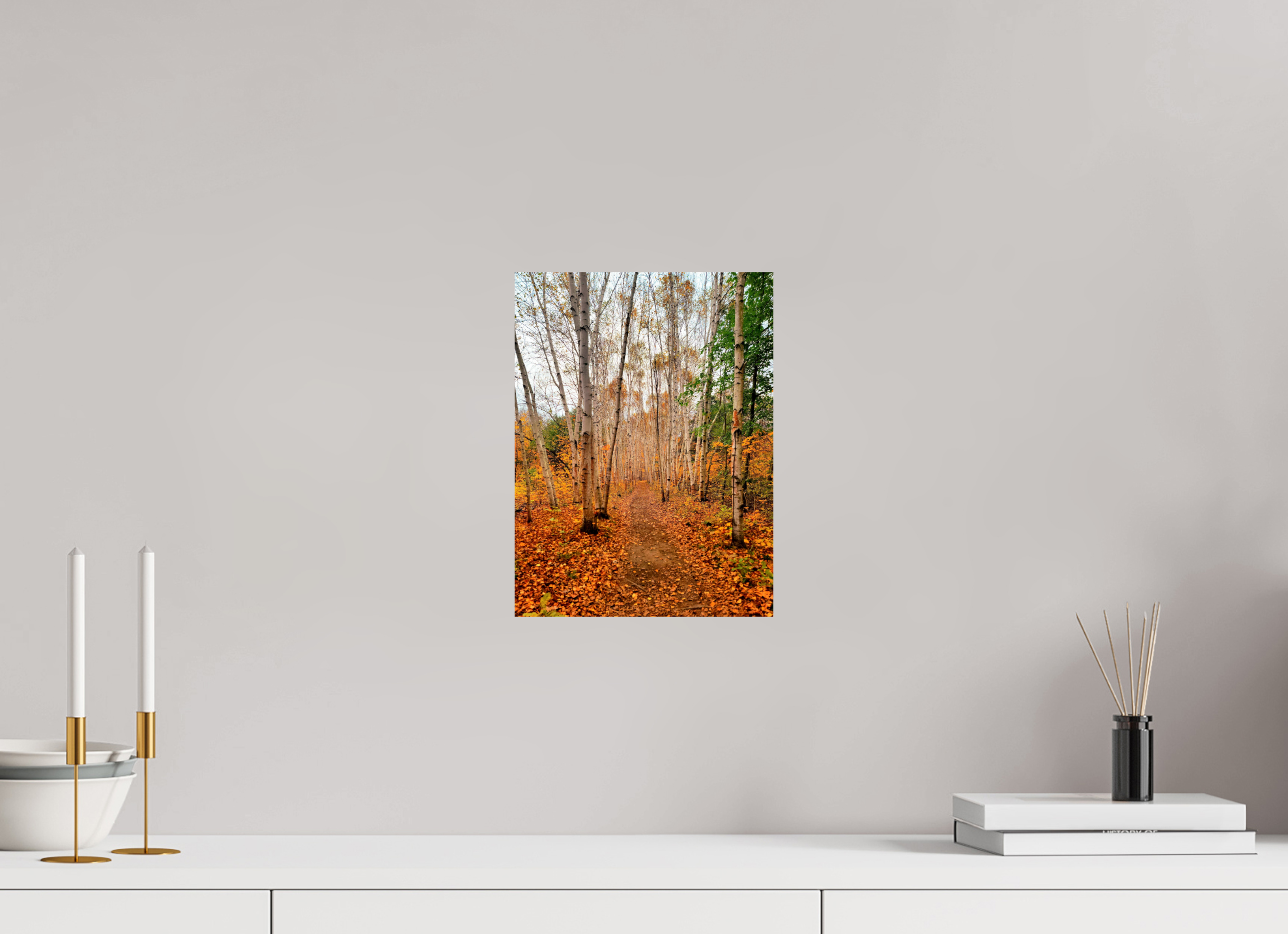 9 x 12″, Photo Print On Fuji Crystal DP II The Path Through Turning Leaves