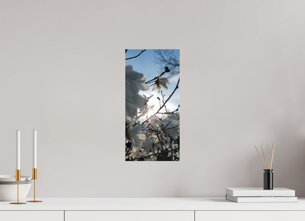 8 x 16.5″, Photo Print On Fuji Crystal DP II Where The Sun Finds The Petals