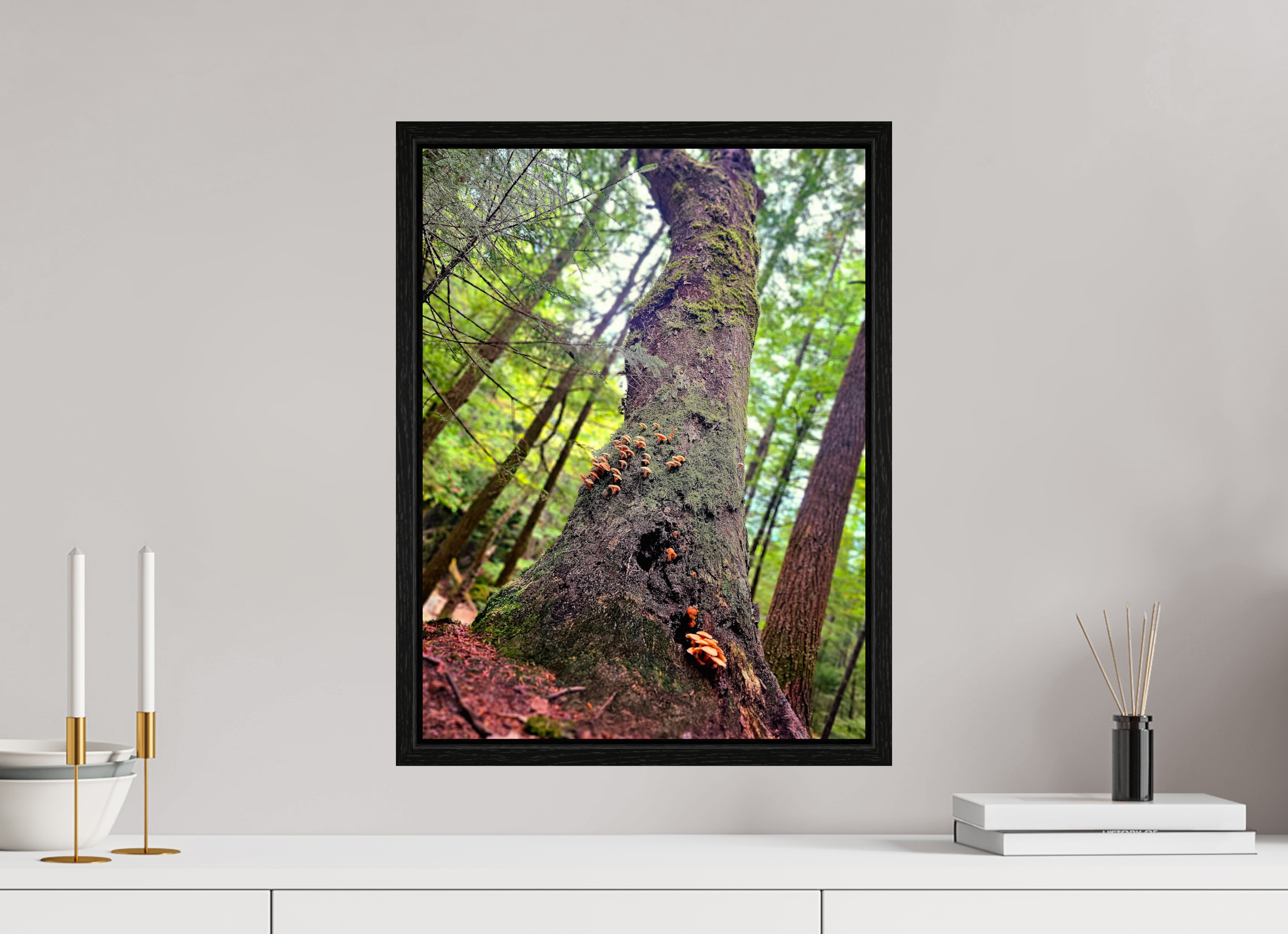 15 x 20″, Floater Frame Don't Eat The Forest Snacks