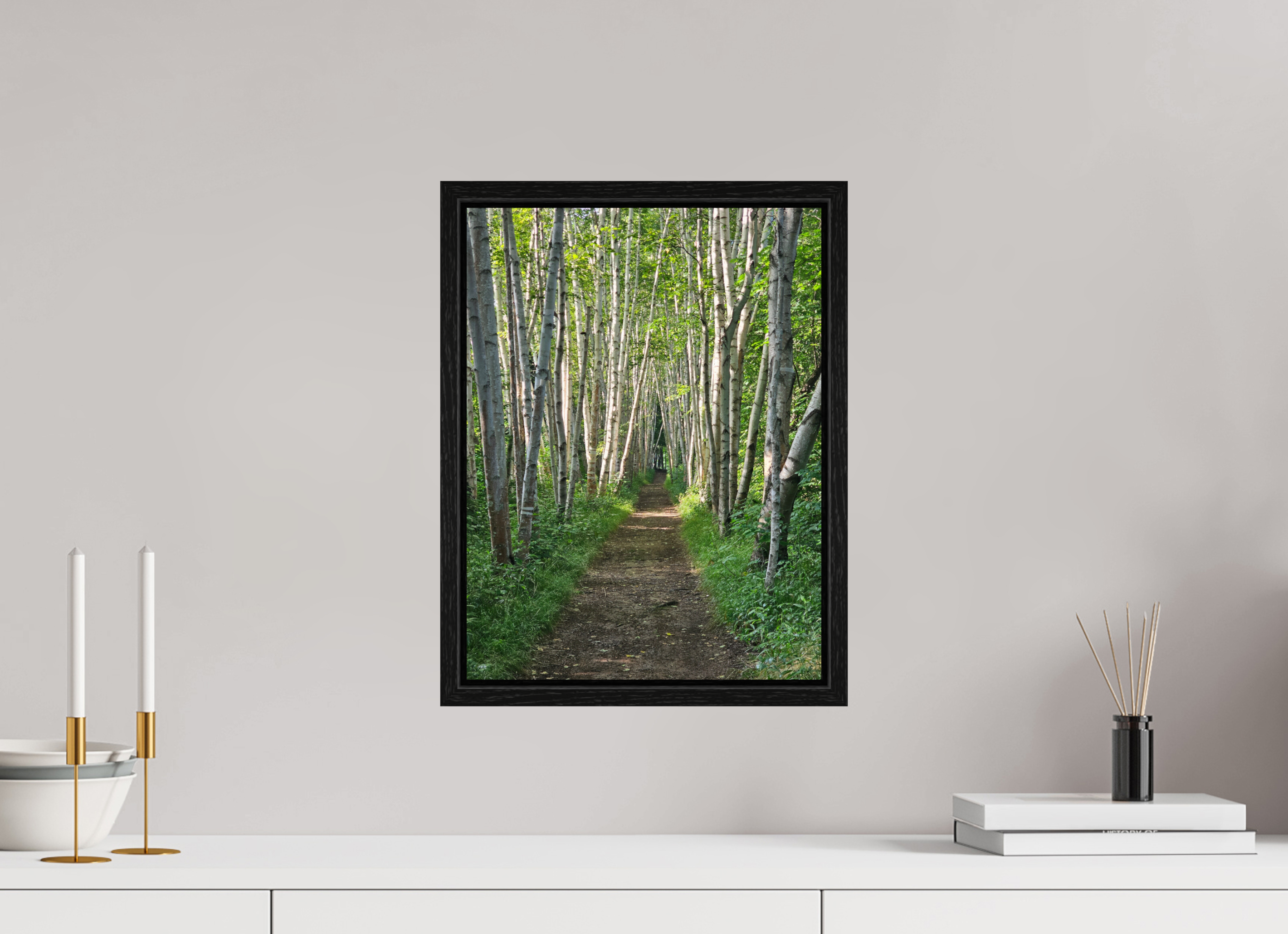 12 x 16″, Floater Frame The Summer On The Birch Trail