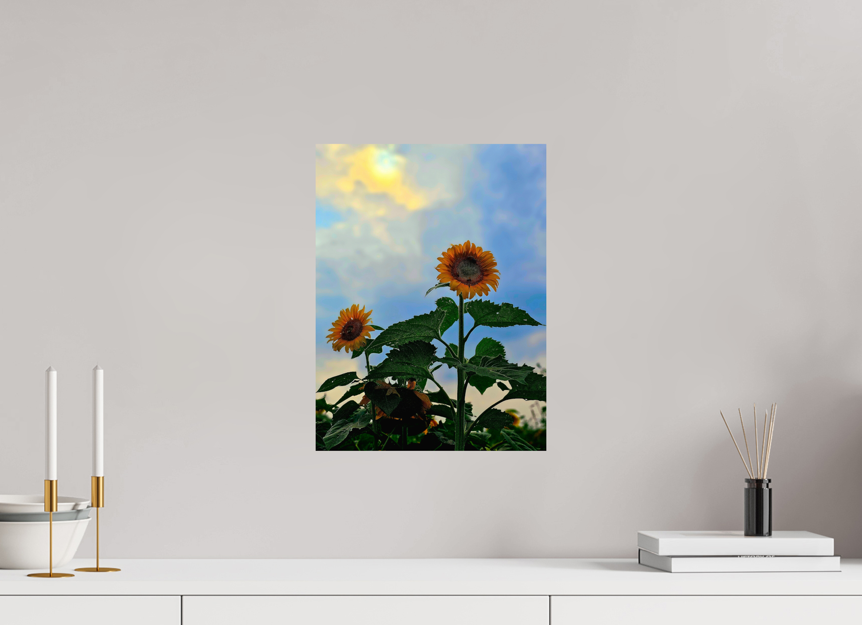 12 x 16″, Photo Print On Fuji Crystal DP II Sunflowers In Spring