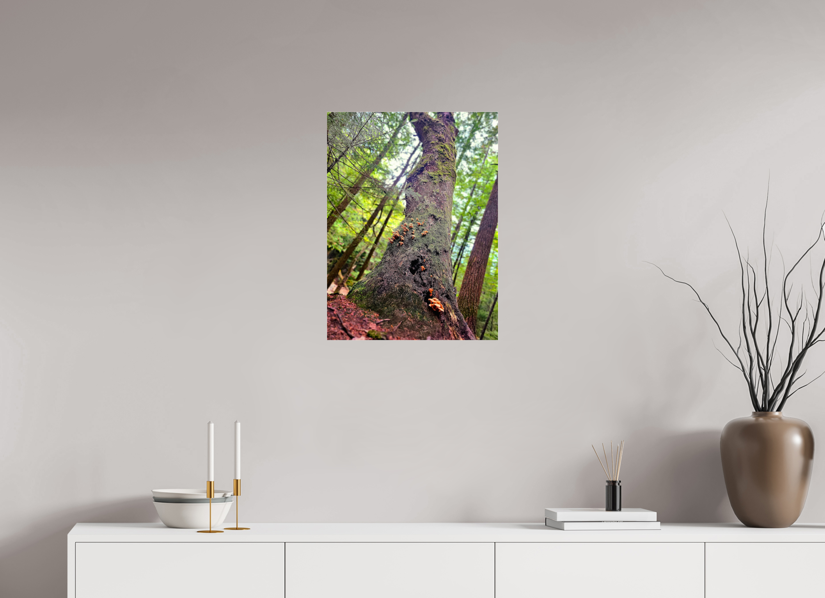 18 x 24″, Photo Print Under Acrylic Glass Don't Eat The Forest Snacks
