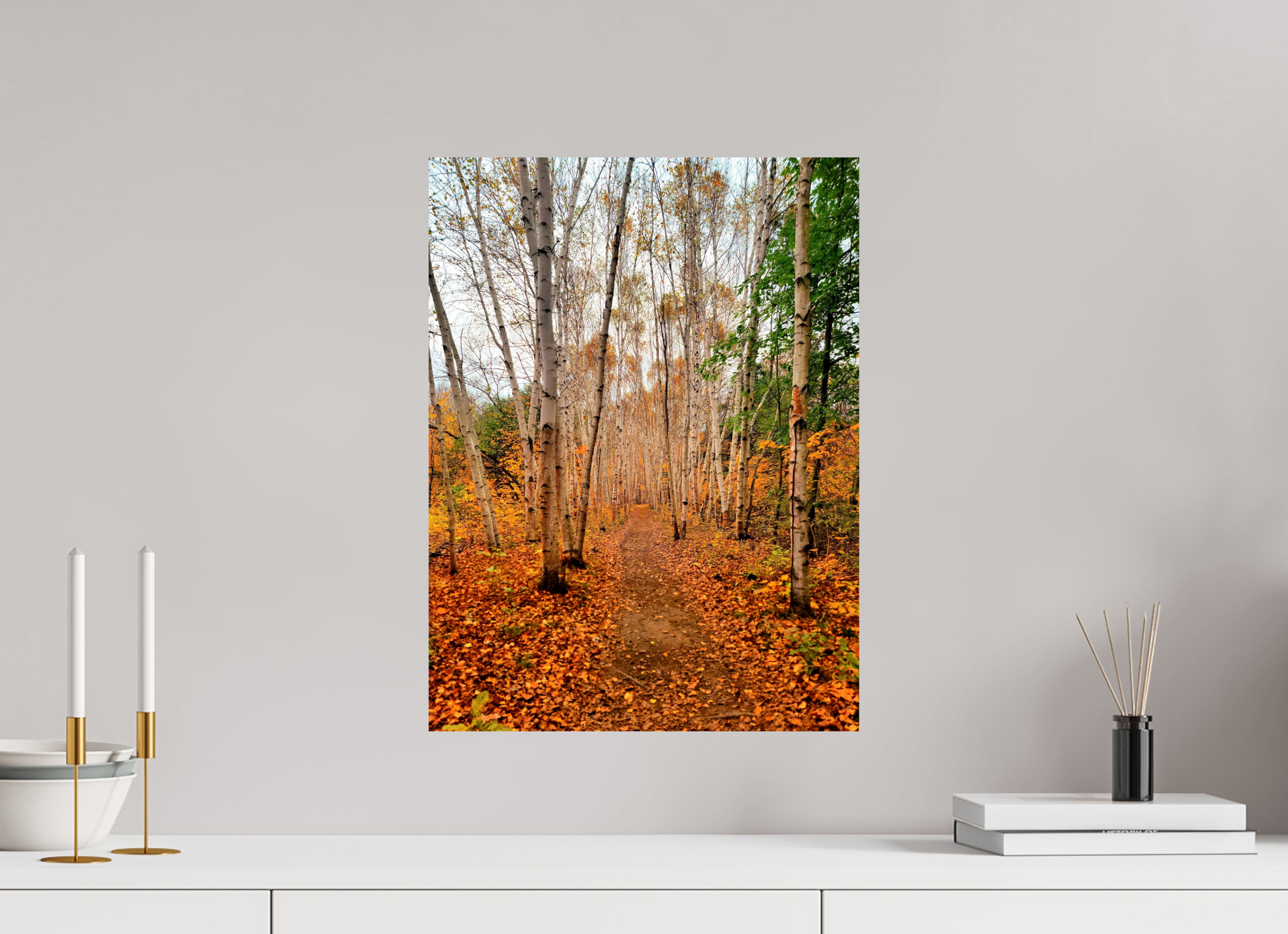 15 x 20″, Photo Print On Fuji Crystal DP II The Path Through Turning Leaves