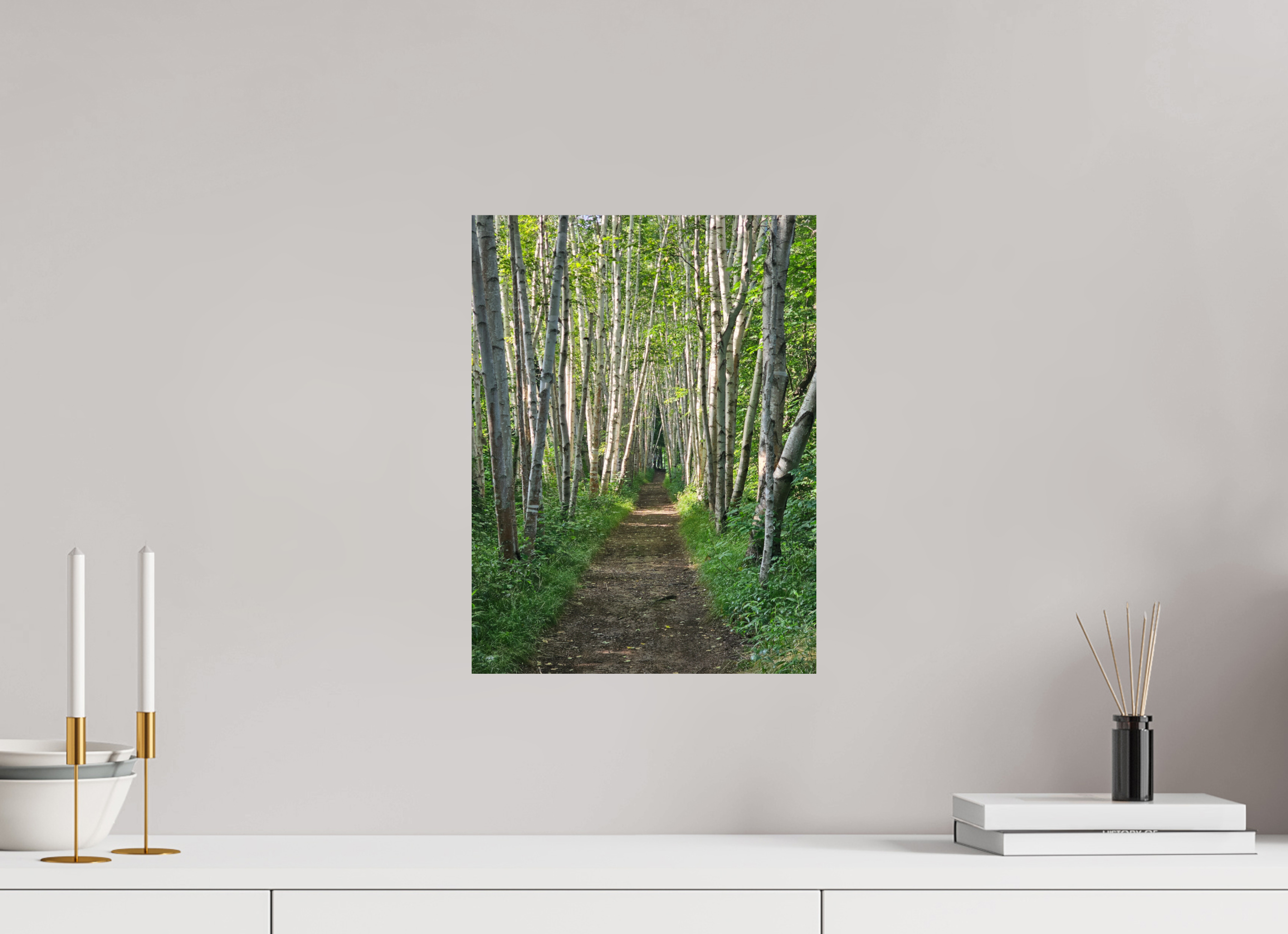 12 x 16″, Photo Print On Fuji Crystal DP II The Summer On The Birch Trail