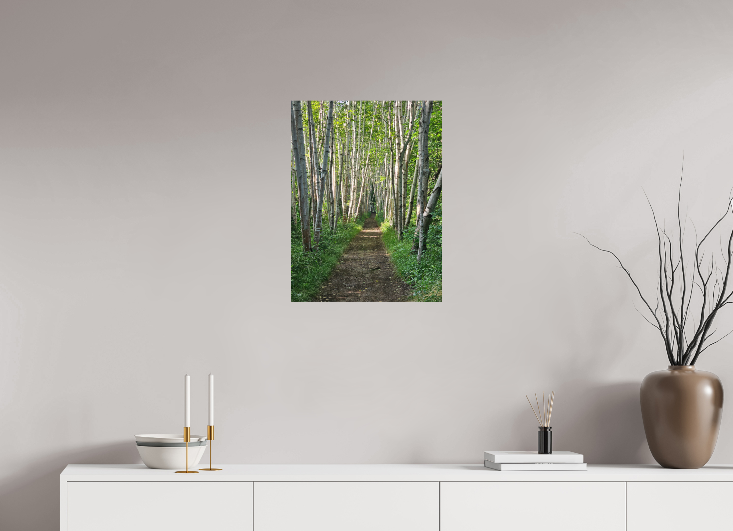 18 x 24″, Photo Print On Fuji Crystal DP II The Summer On The Birch Trail