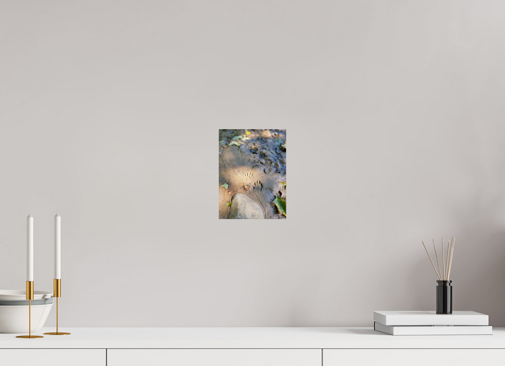 6 x 8″, Photo Print On Fuji Crystal DP II Echo's Of A Night Walker