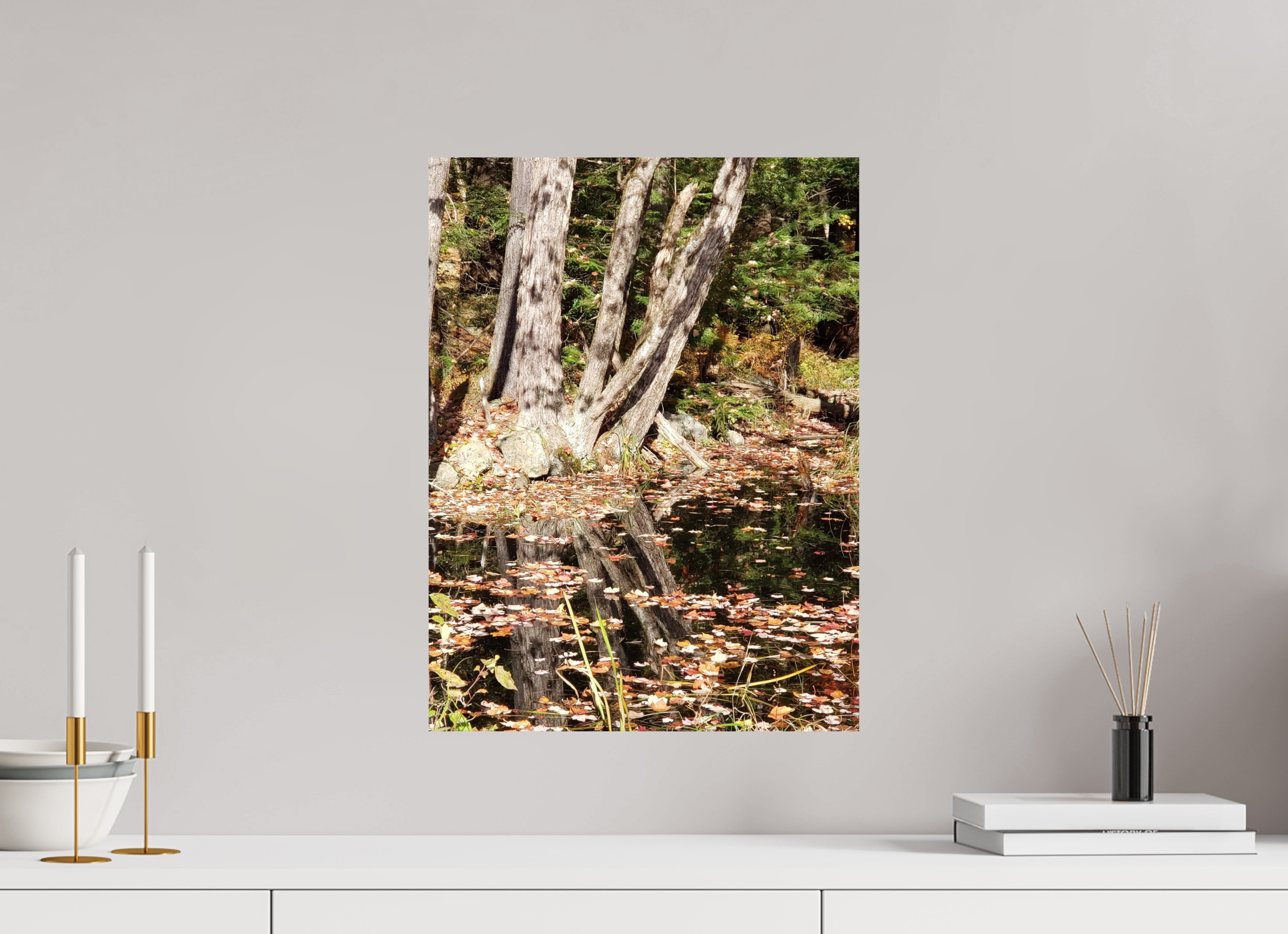 15 x 20″, Photo Print On Fuji Crystal DP II Falling Into Reflections