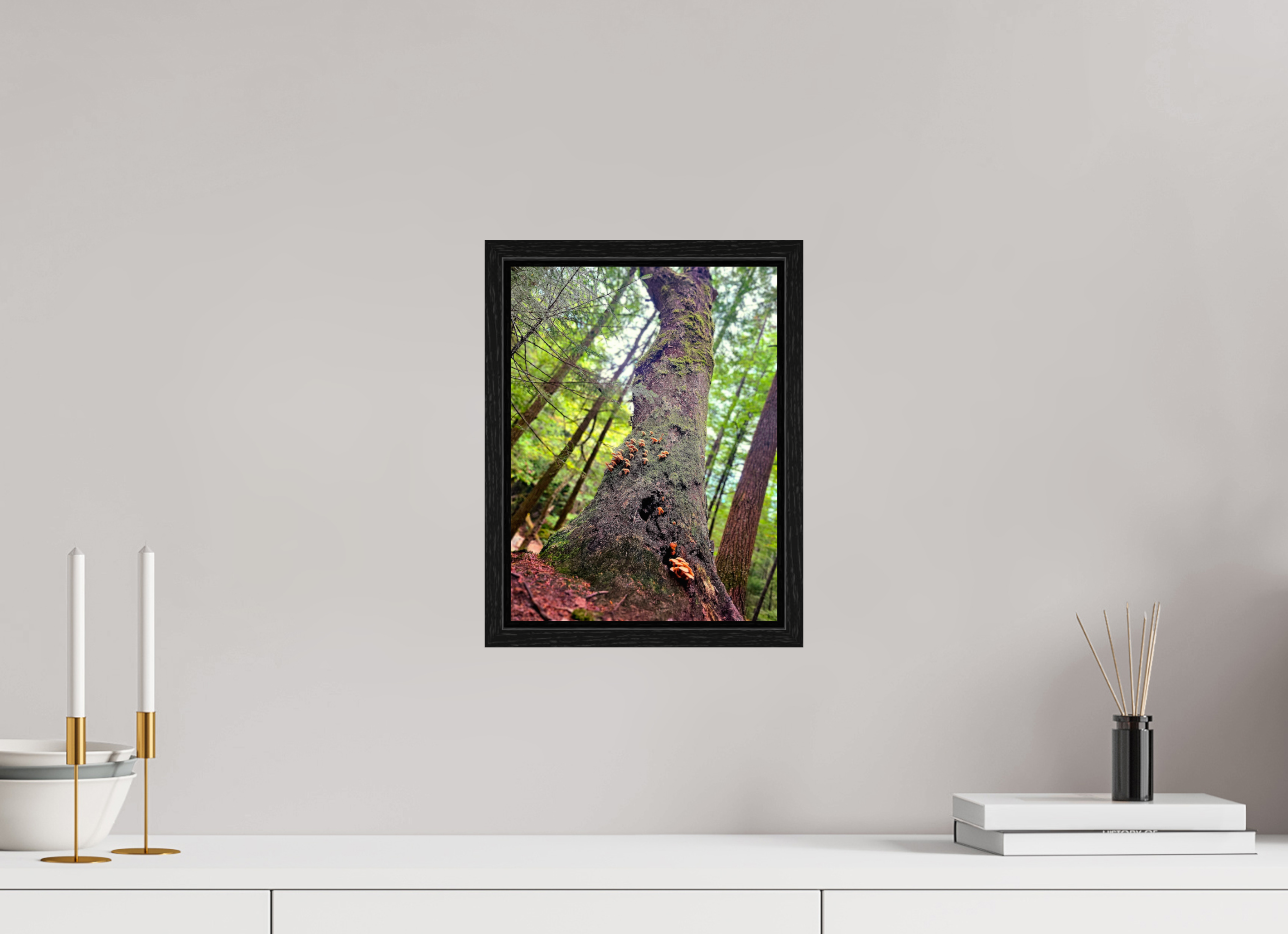 9 x 12″, Floater Frame Don't Eat The Forest Snacks