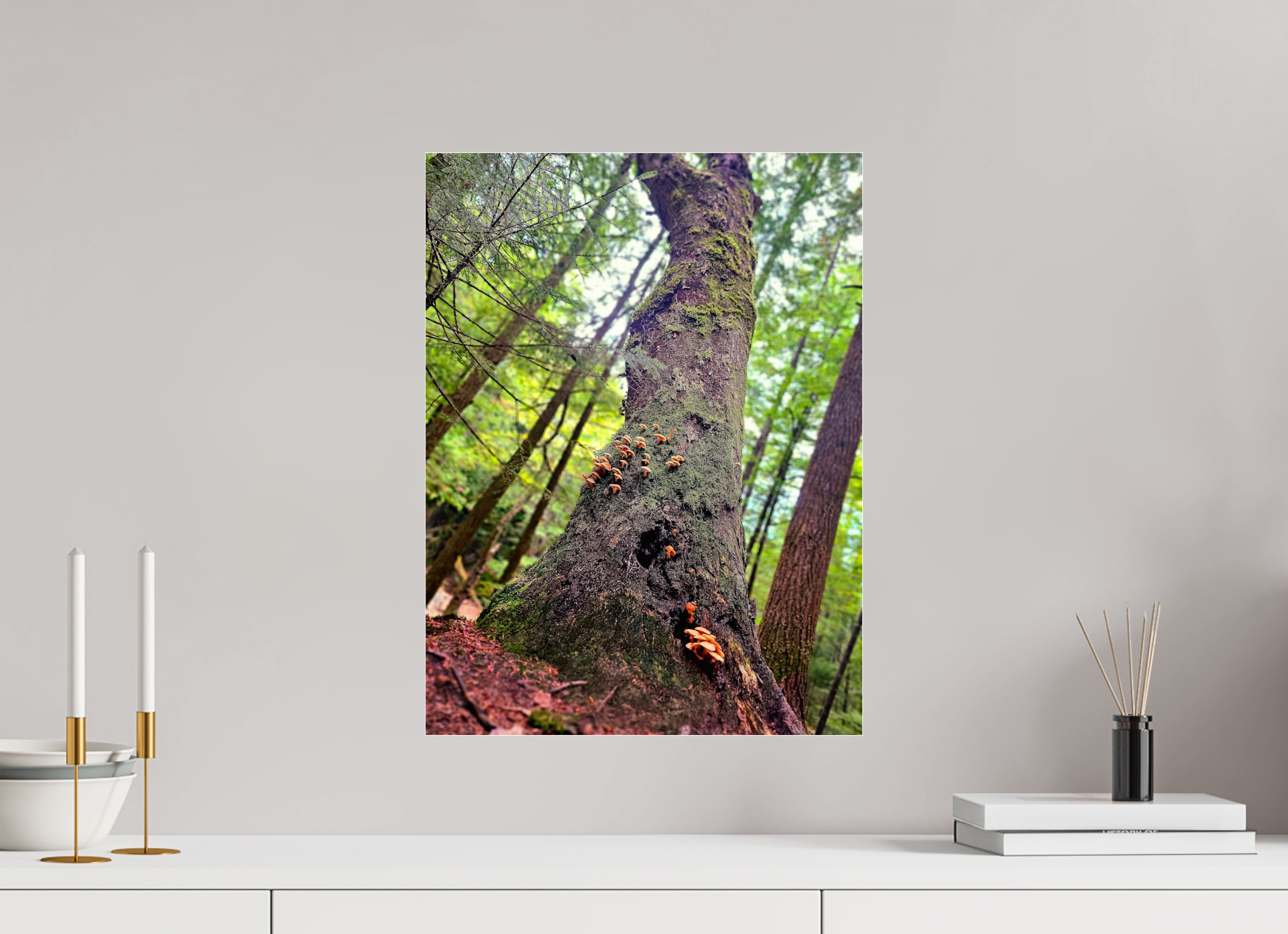 15 x 20″, Photo Print Under Acrylic Glass Don't Eat The Forest Snacks
