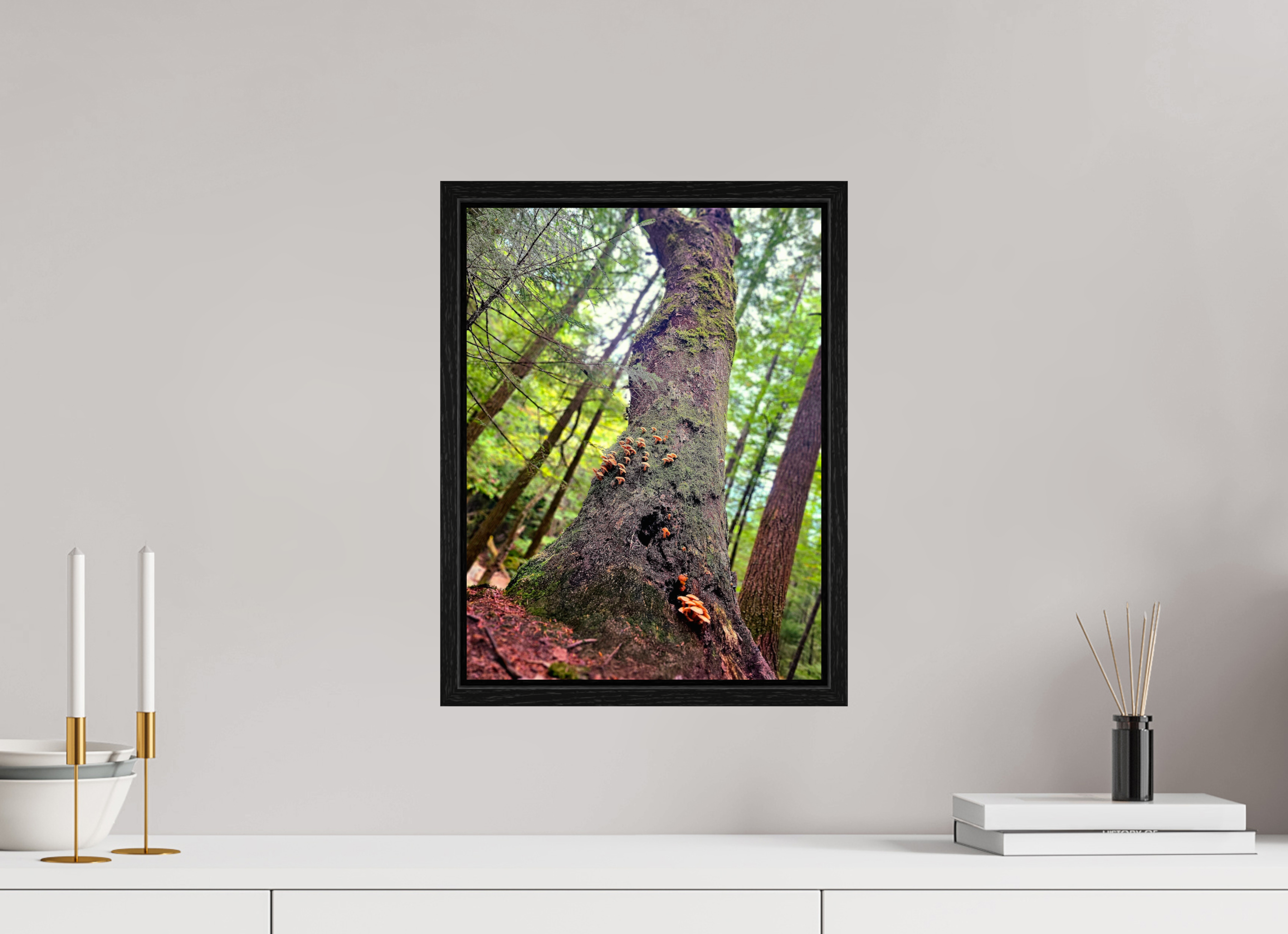 12 x 16″, Floater Frame Don't Eat The Forest Snacks