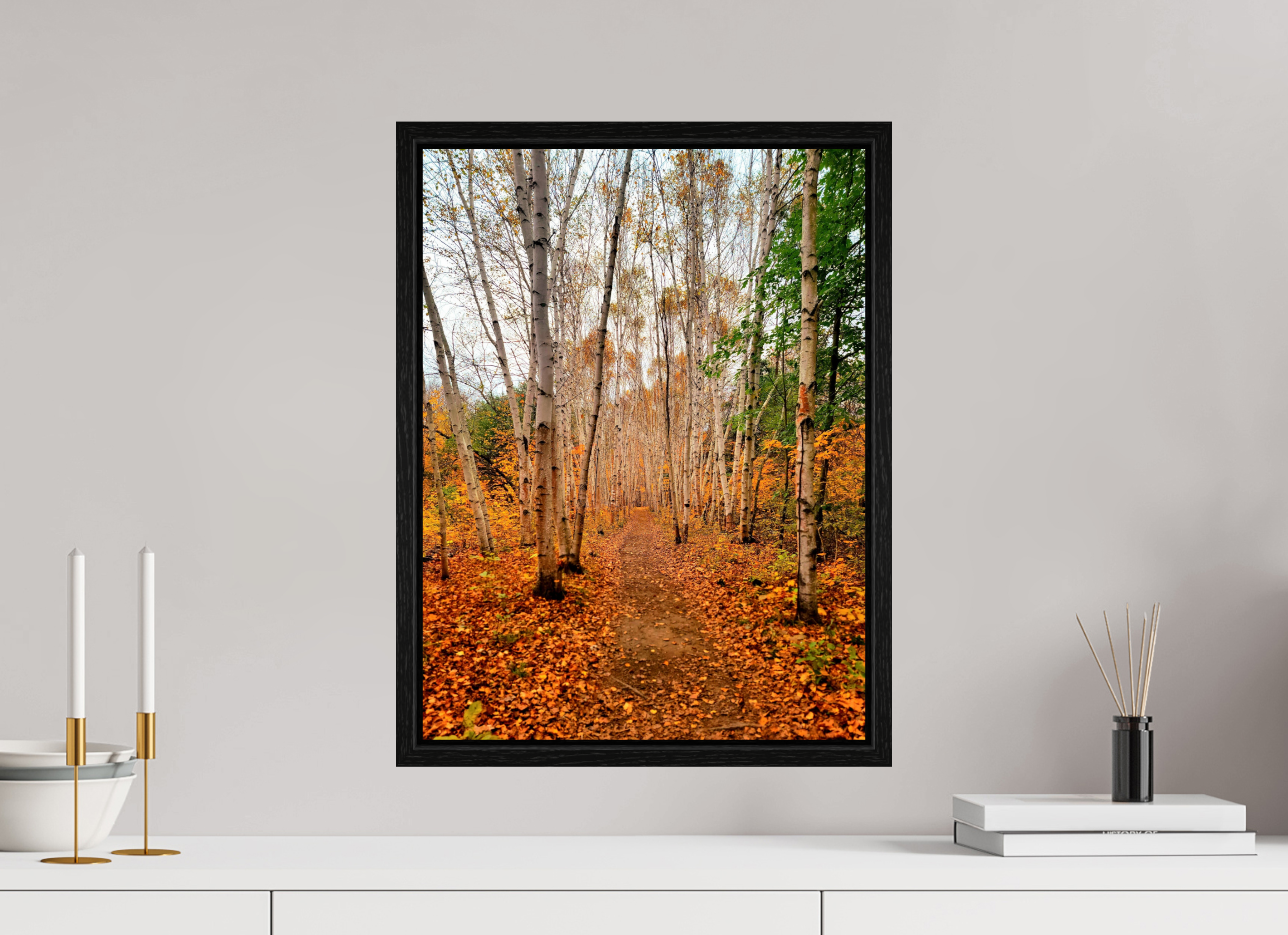 15 x 20″, Floater Frame The Path Through Turning Leaves
