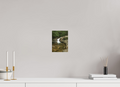 6 x 8″, Photo Print On Fuji Crystal DP II The Mossy Cascade