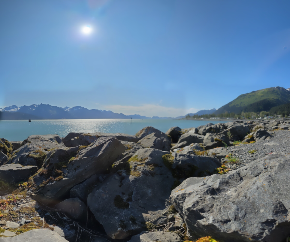 Main image The Seward Sun