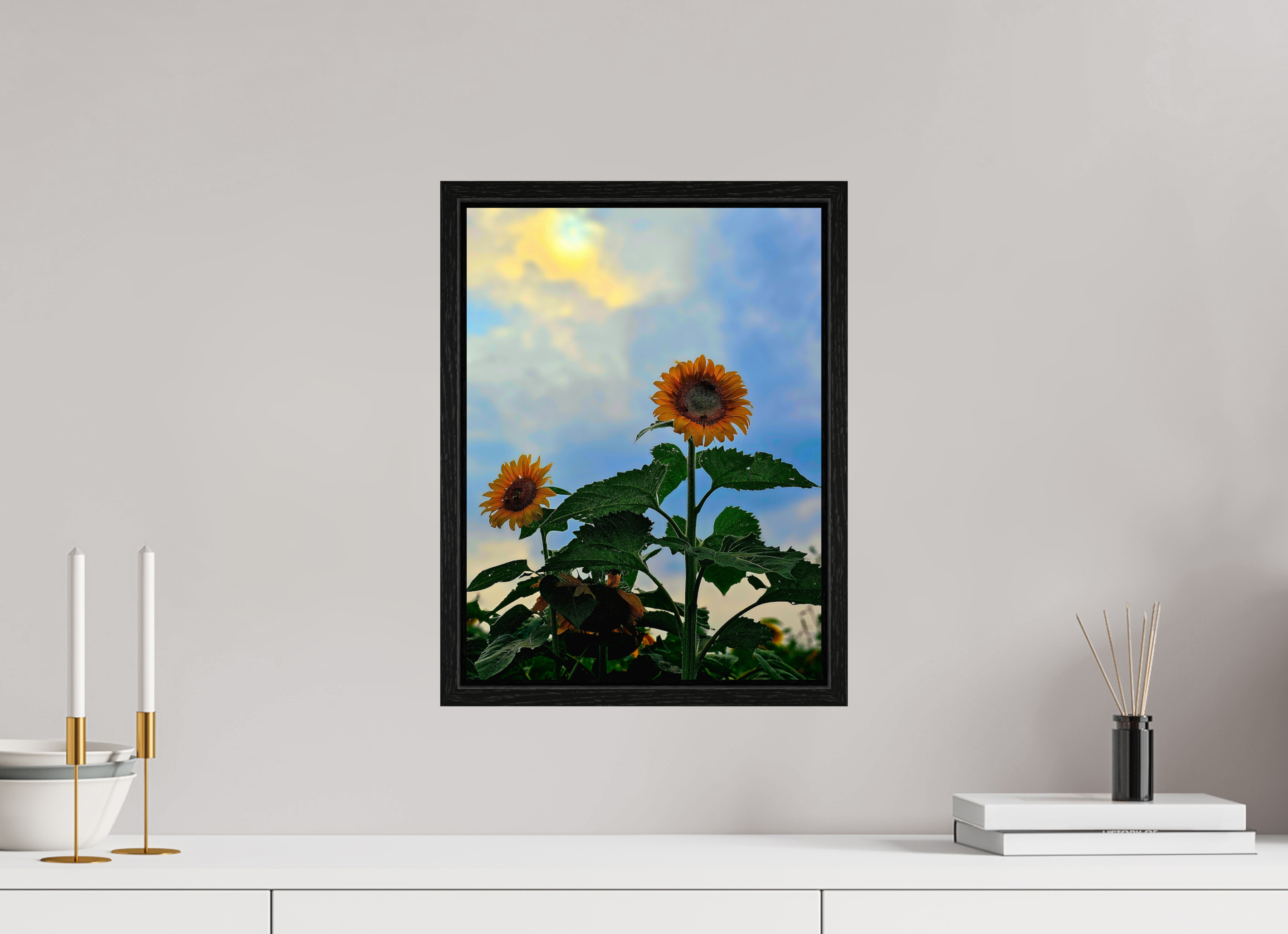 12 x 16″, Floater Frame Sunflowers In Spring