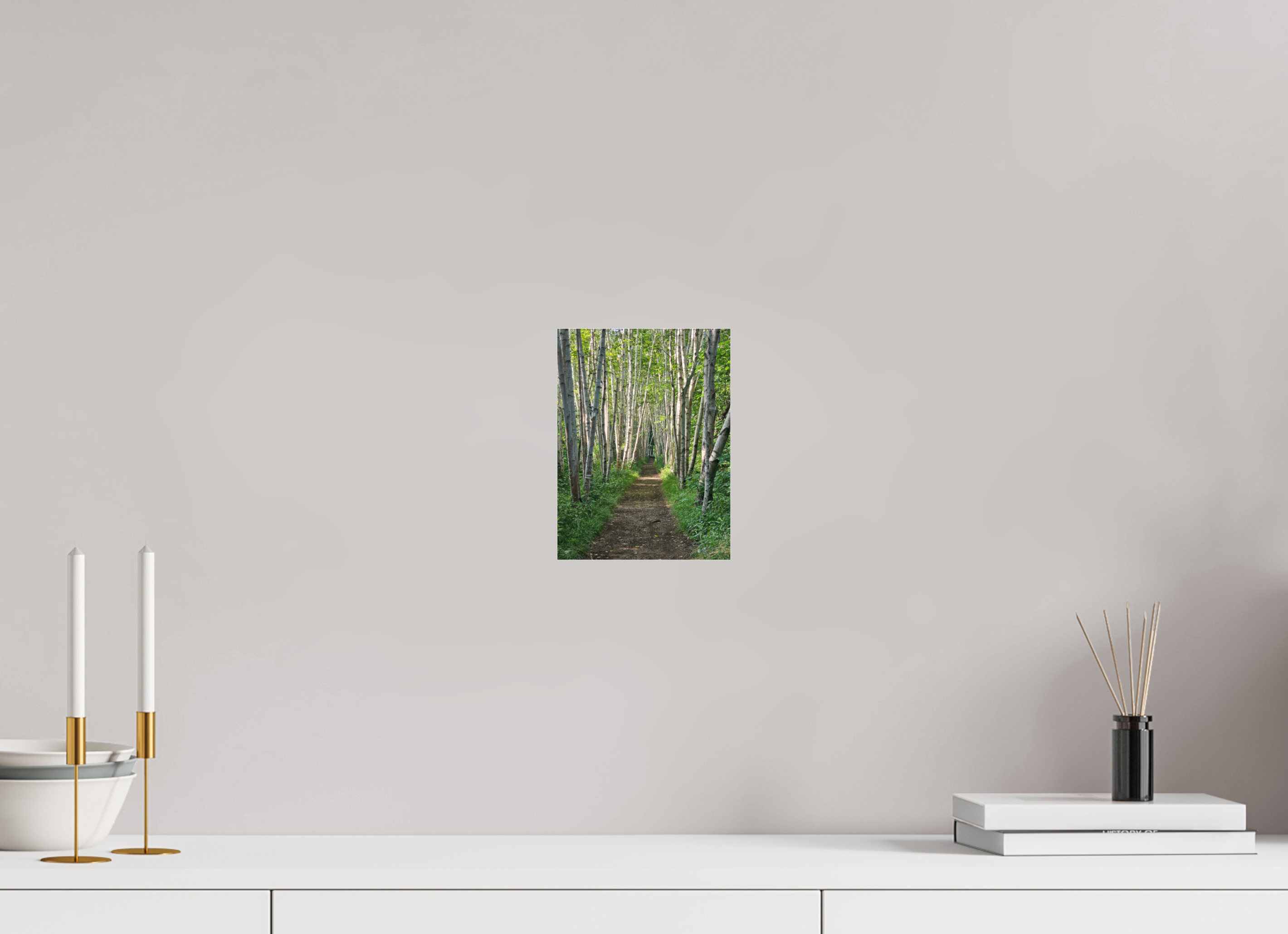 6 x 8″, Photo Print Under Acrylic Glass The Summer On The Birch Trail