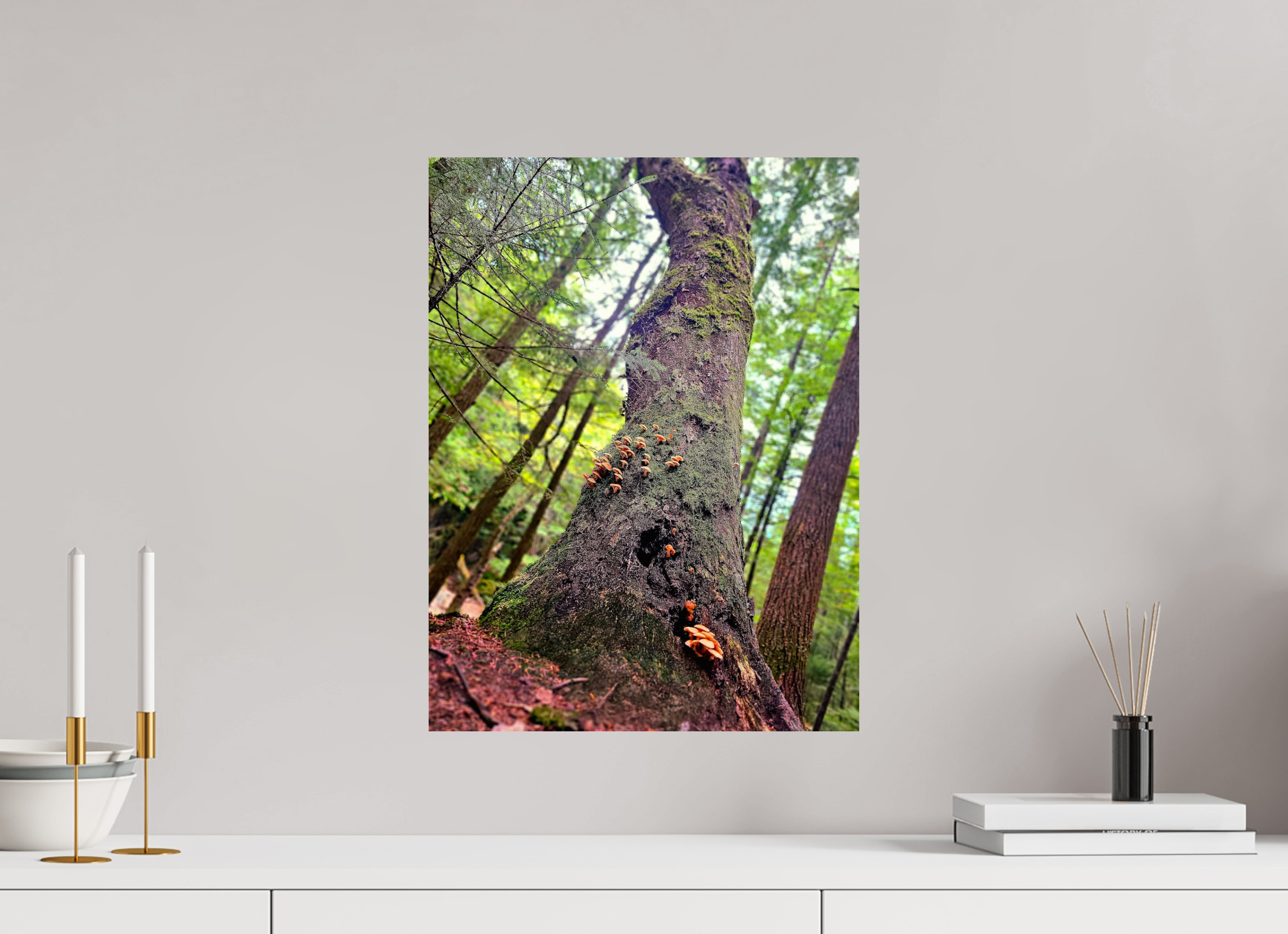 15 x 20″, Photo Print On Fuji Crystal DP II Don't Eat The Forest Snacks