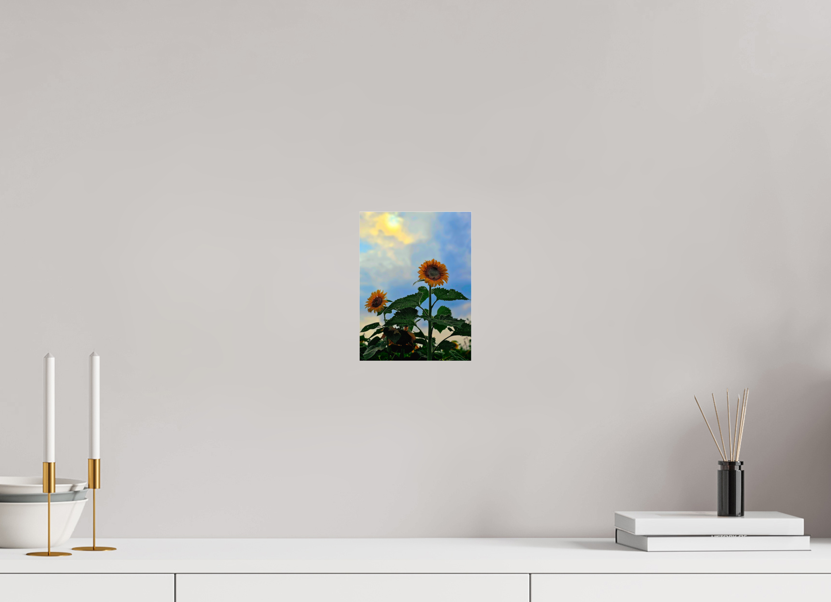 6 x 8″, Photo Print Under Acrylic Glass Sunflowers In Spring