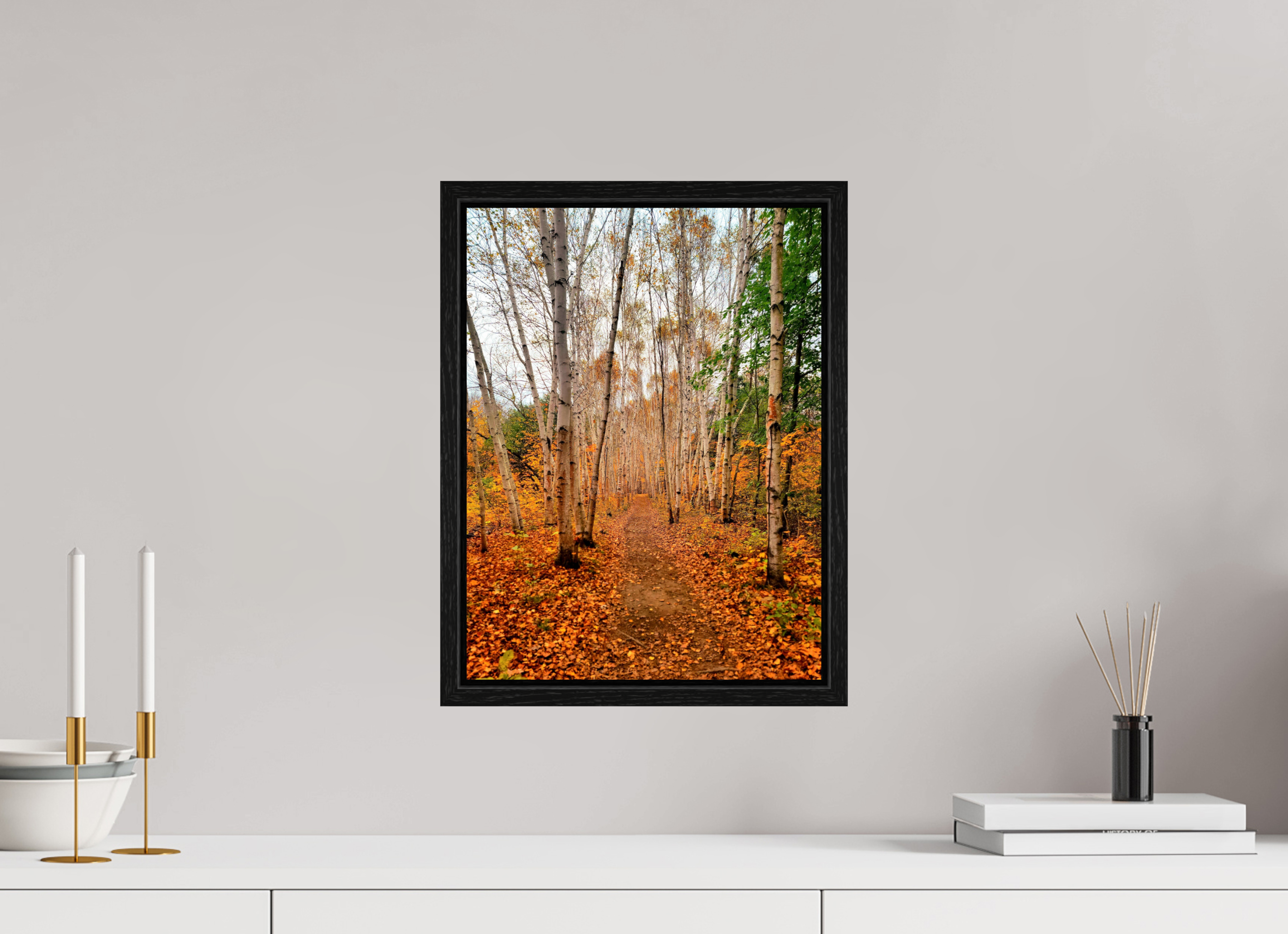 12 x 16″, Floater Frame The Path Through Turning Leaves