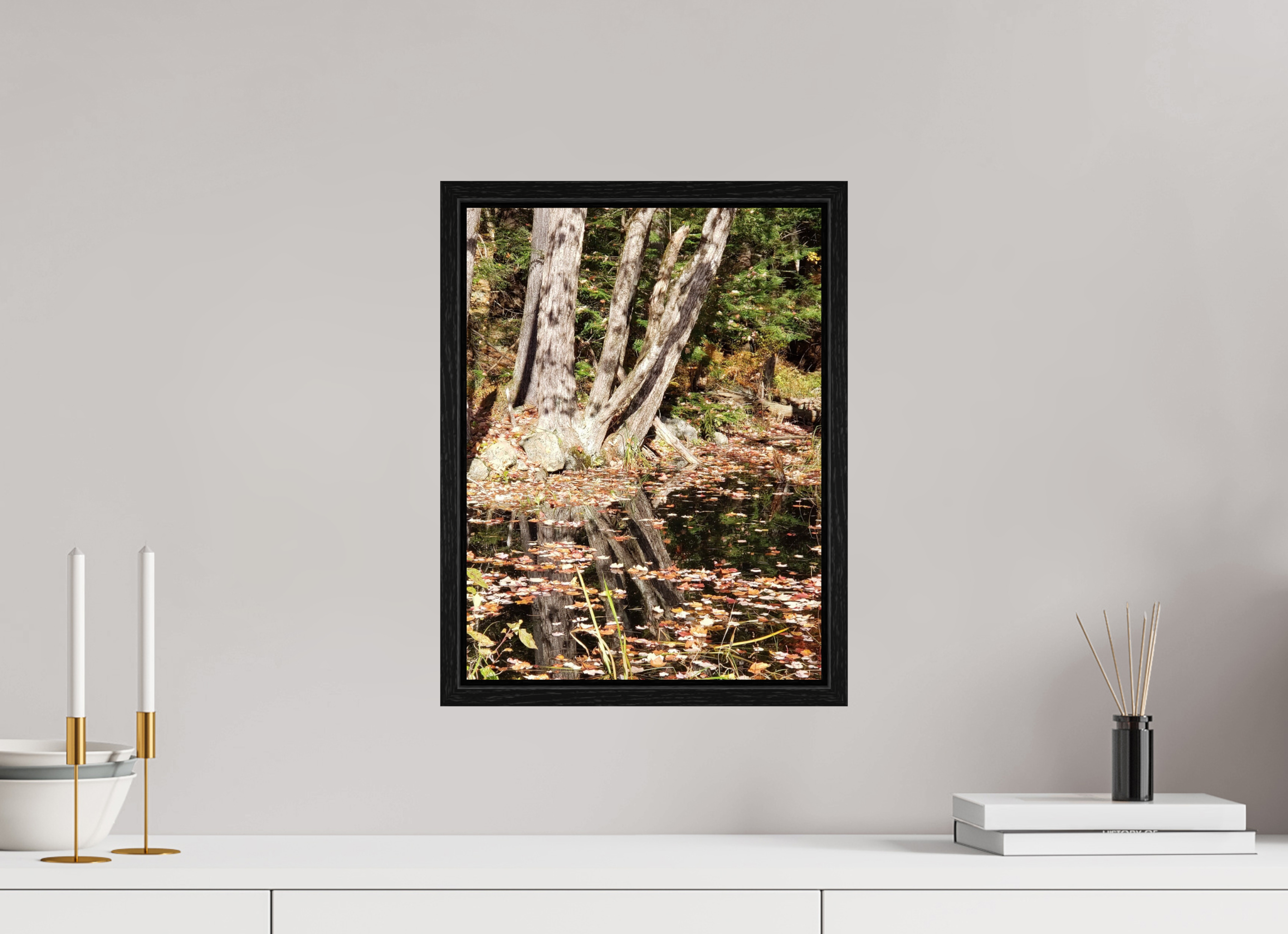 12 x 16″, Floater Frame Falling Into Reflections