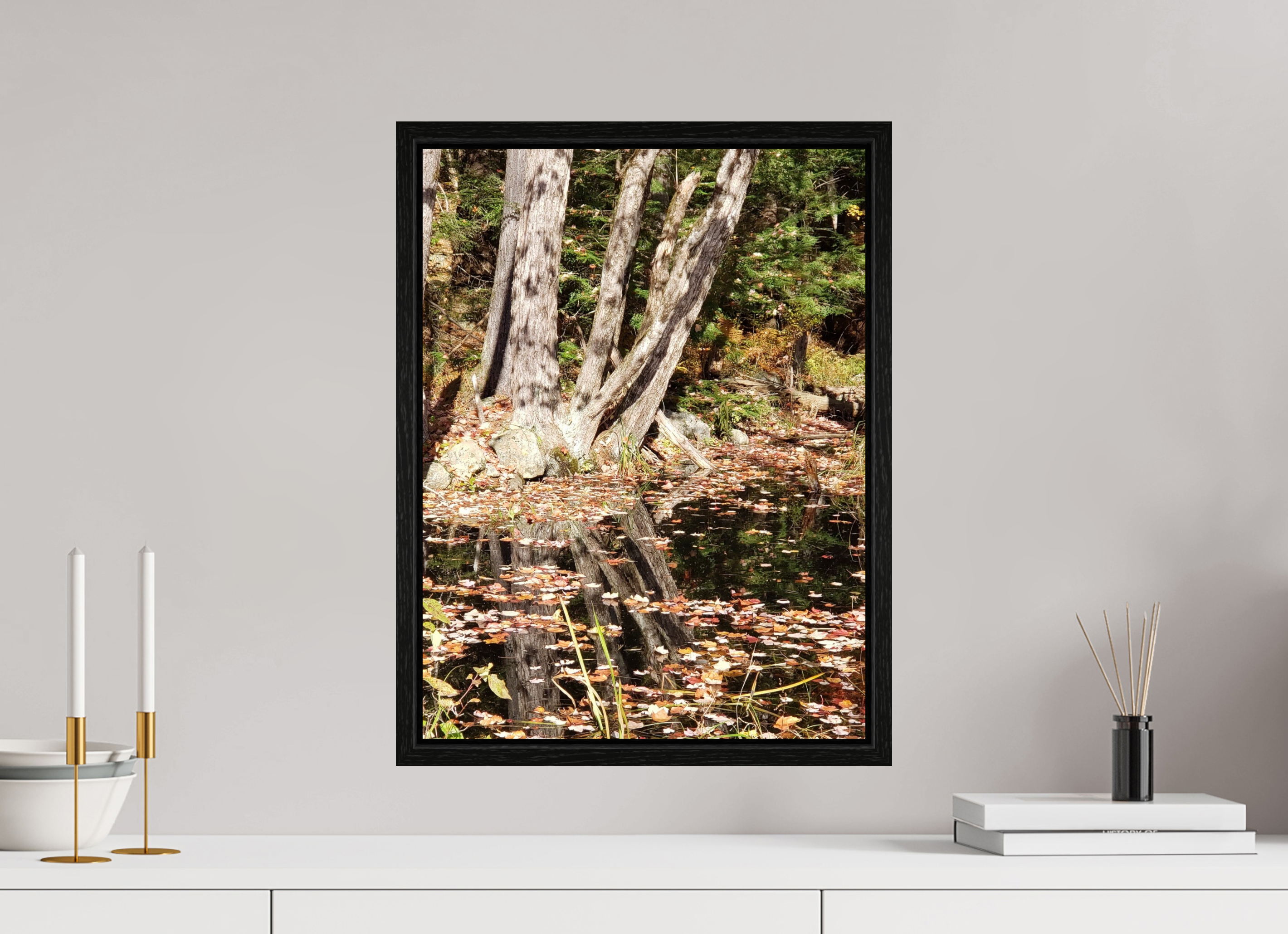 15 x 20″, Floater Frame Falling Into Reflections