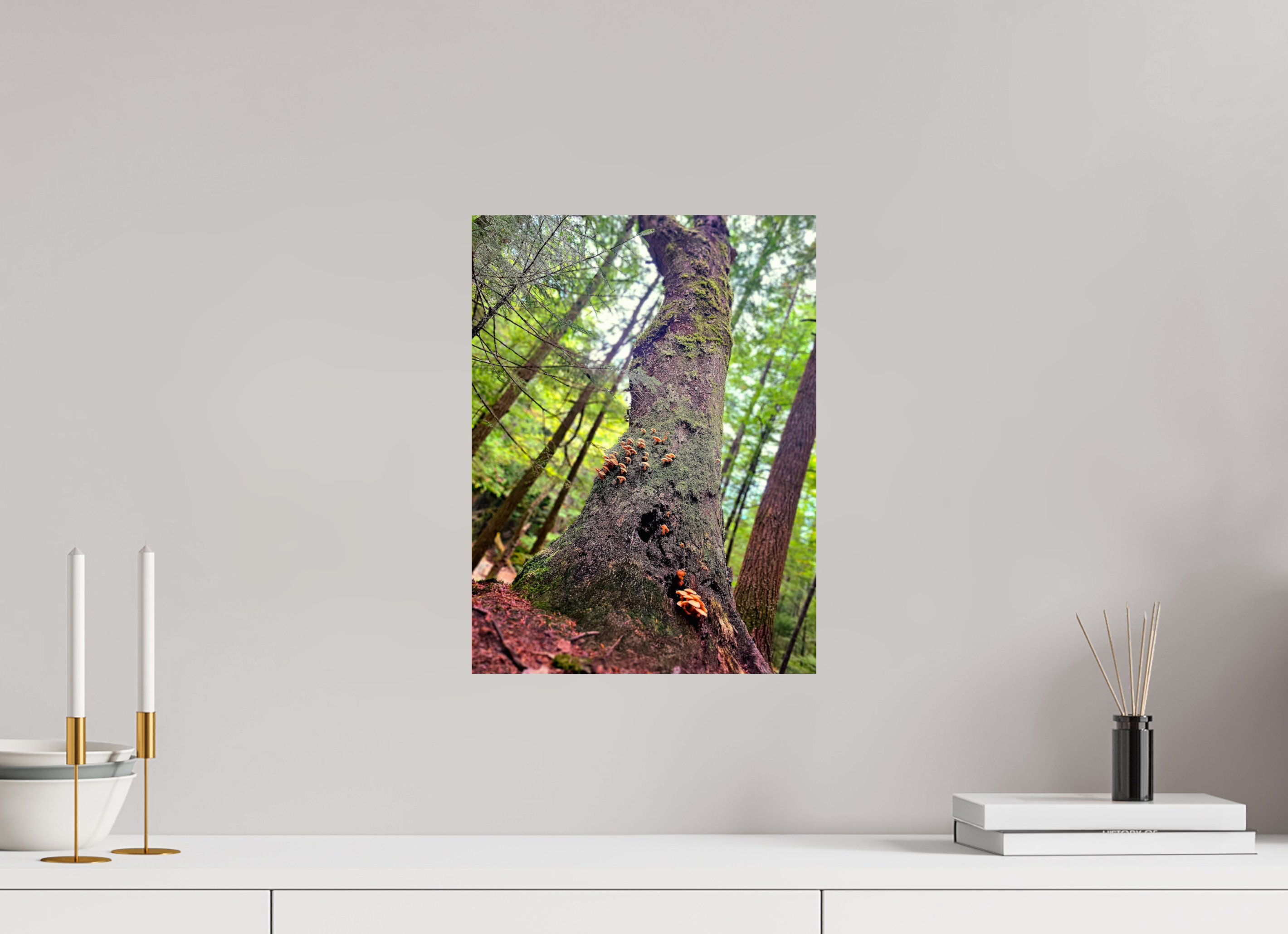 12 x 16″, Photo Print On Fuji Crystal DP II Don't Eat The Forest Snacks