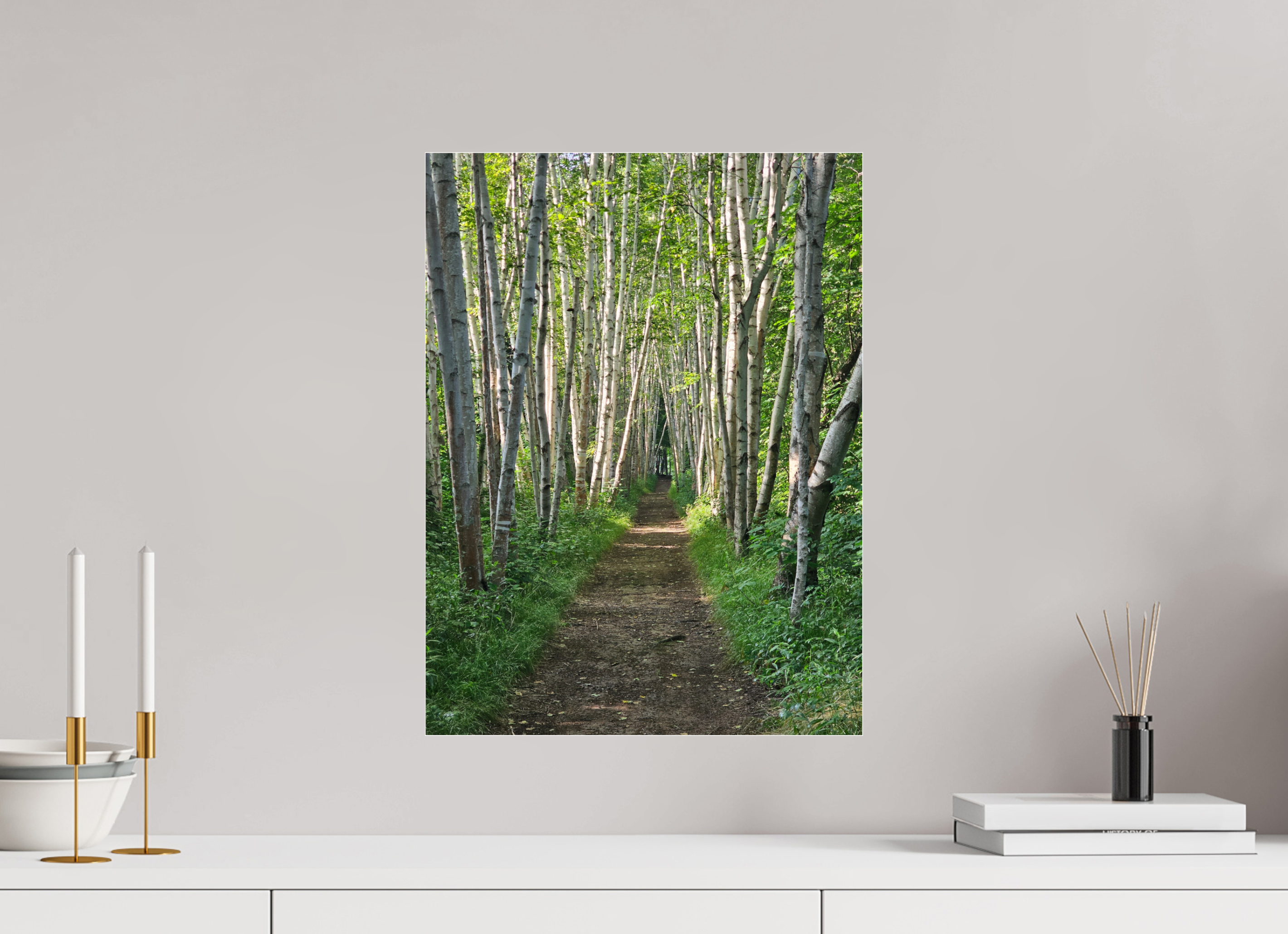 15 x 20″, Photo Print Under Acrylic Glass The Summer On The Birch Trail