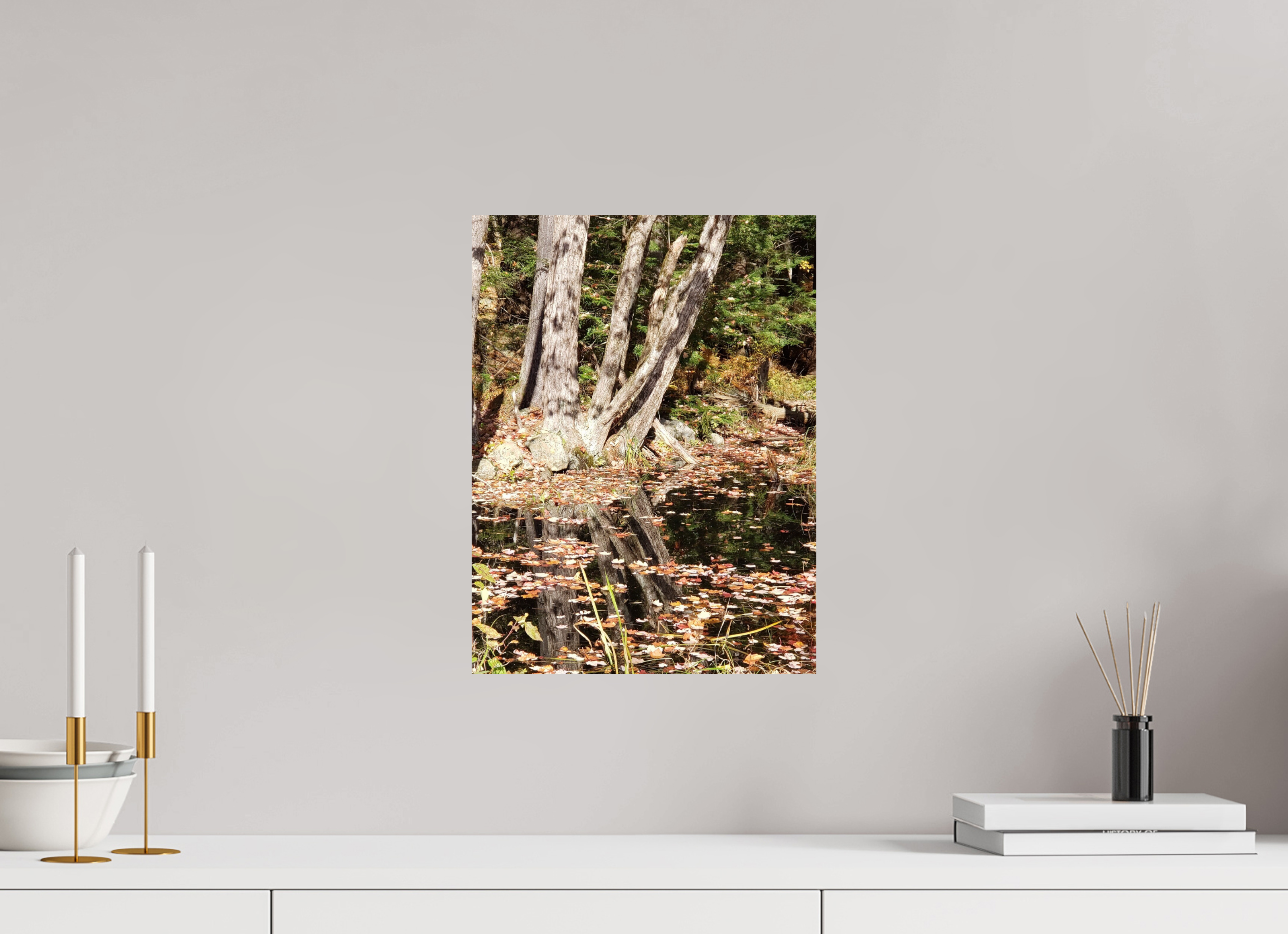 12 x 16″, Photo Print On Fuji Crystal DP II Falling Into Reflections
