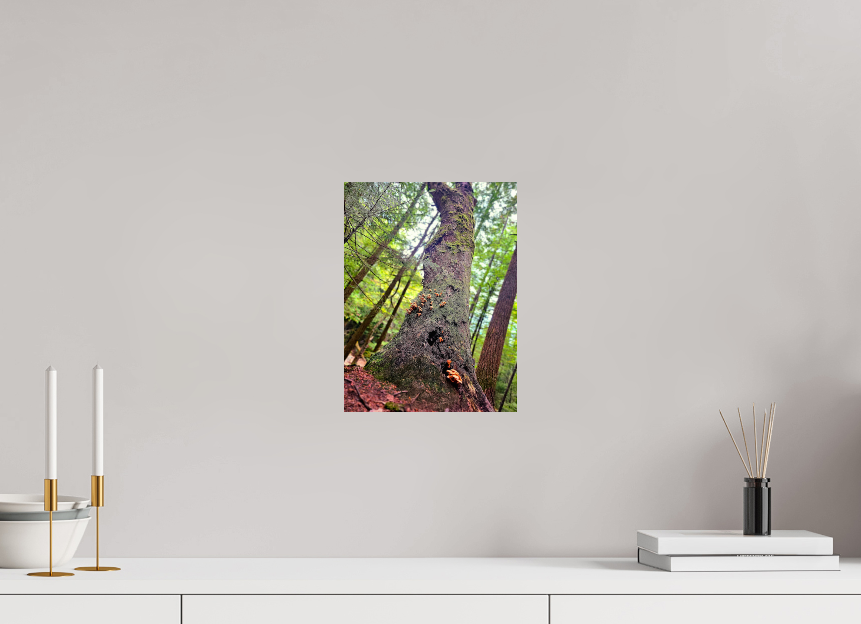 9 x 12″, Photo Print On Fuji Crystal DP II Don't Eat The Forest Snacks