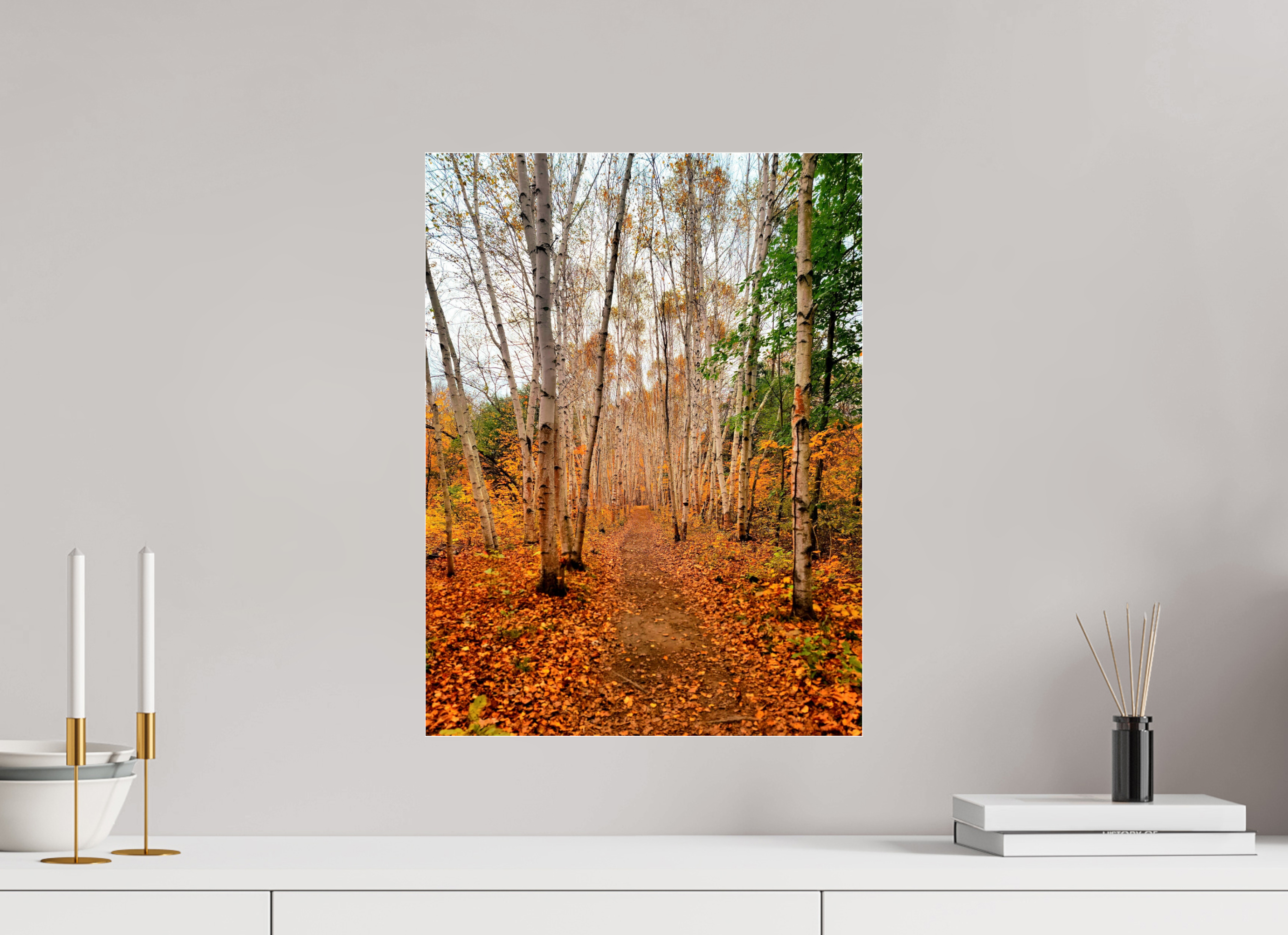 15 x 20″, Photo Print Under Acrylic Glass The Path Through Turning Leaves